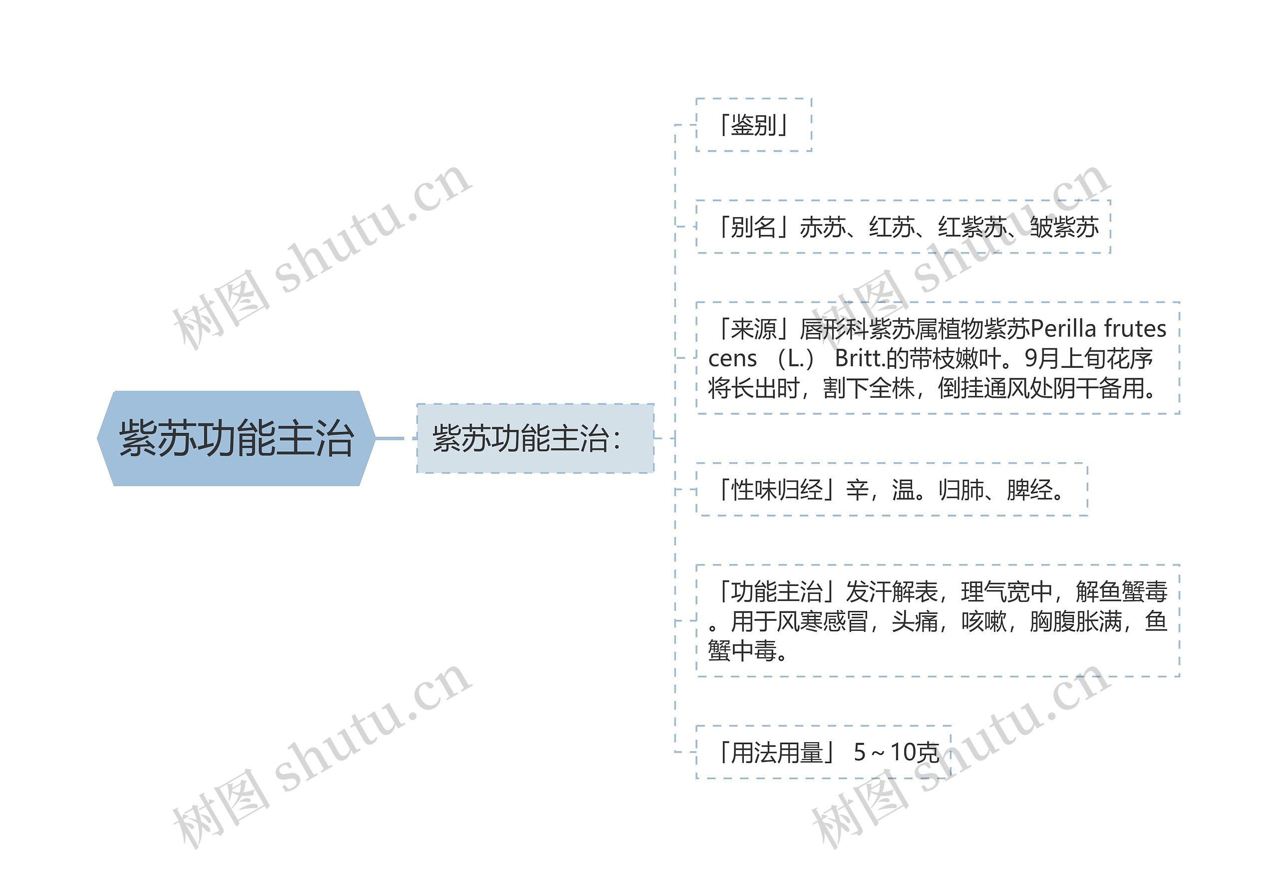 紫苏功能主治思维导图