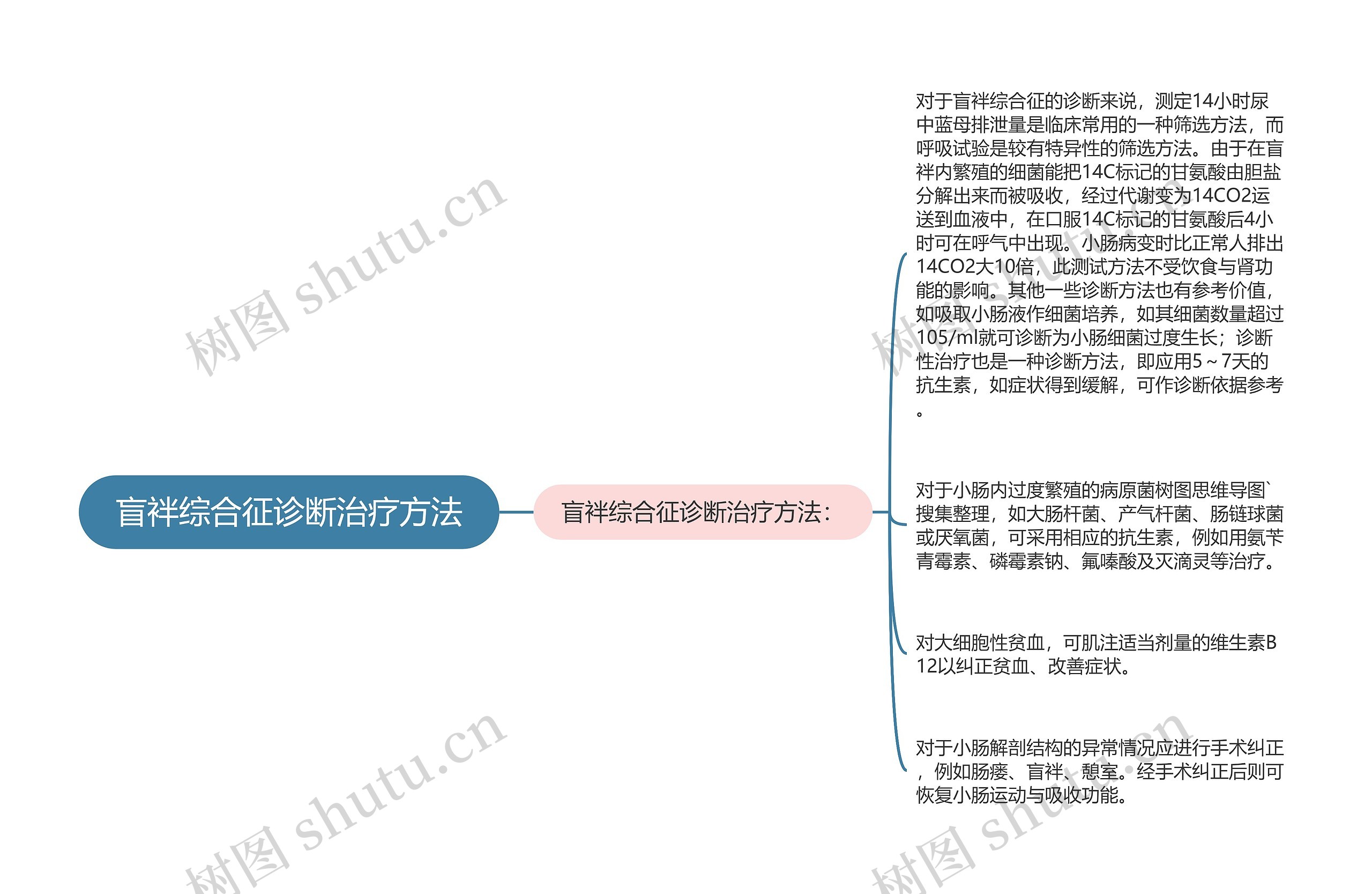 盲袢综合征诊断治疗方法