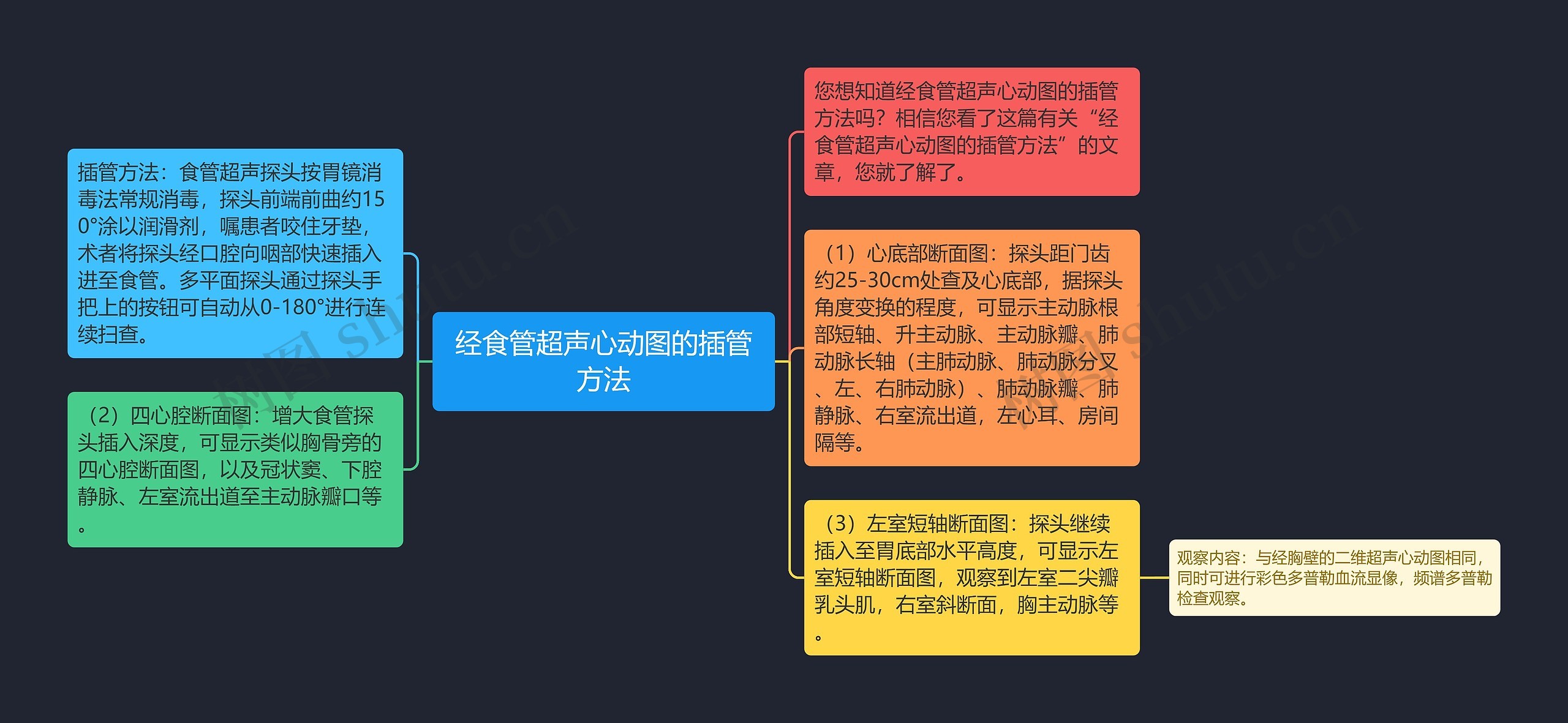 经食管超声心动图的插管方法思维导图