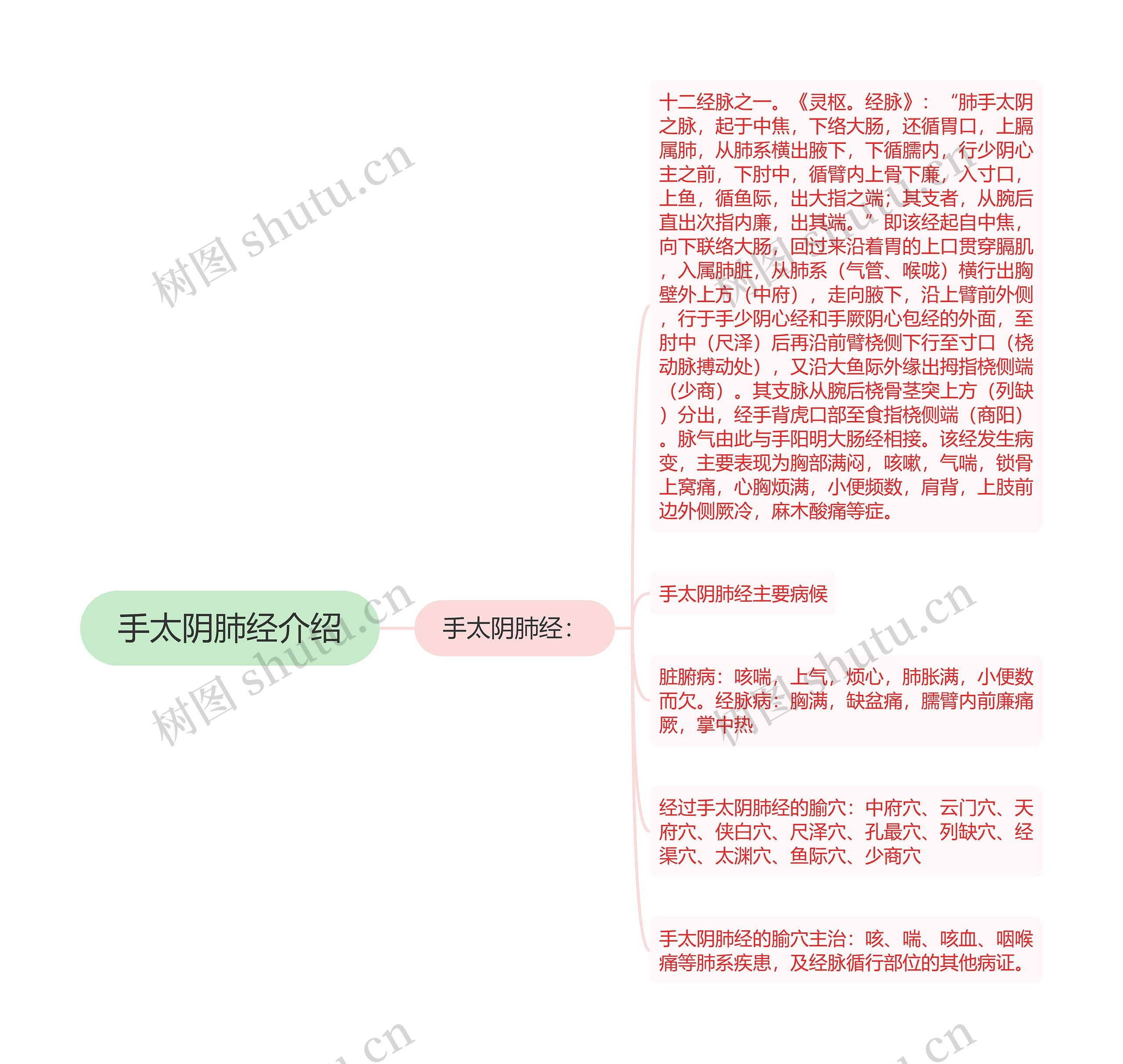 手太阴肺经介绍思维导图