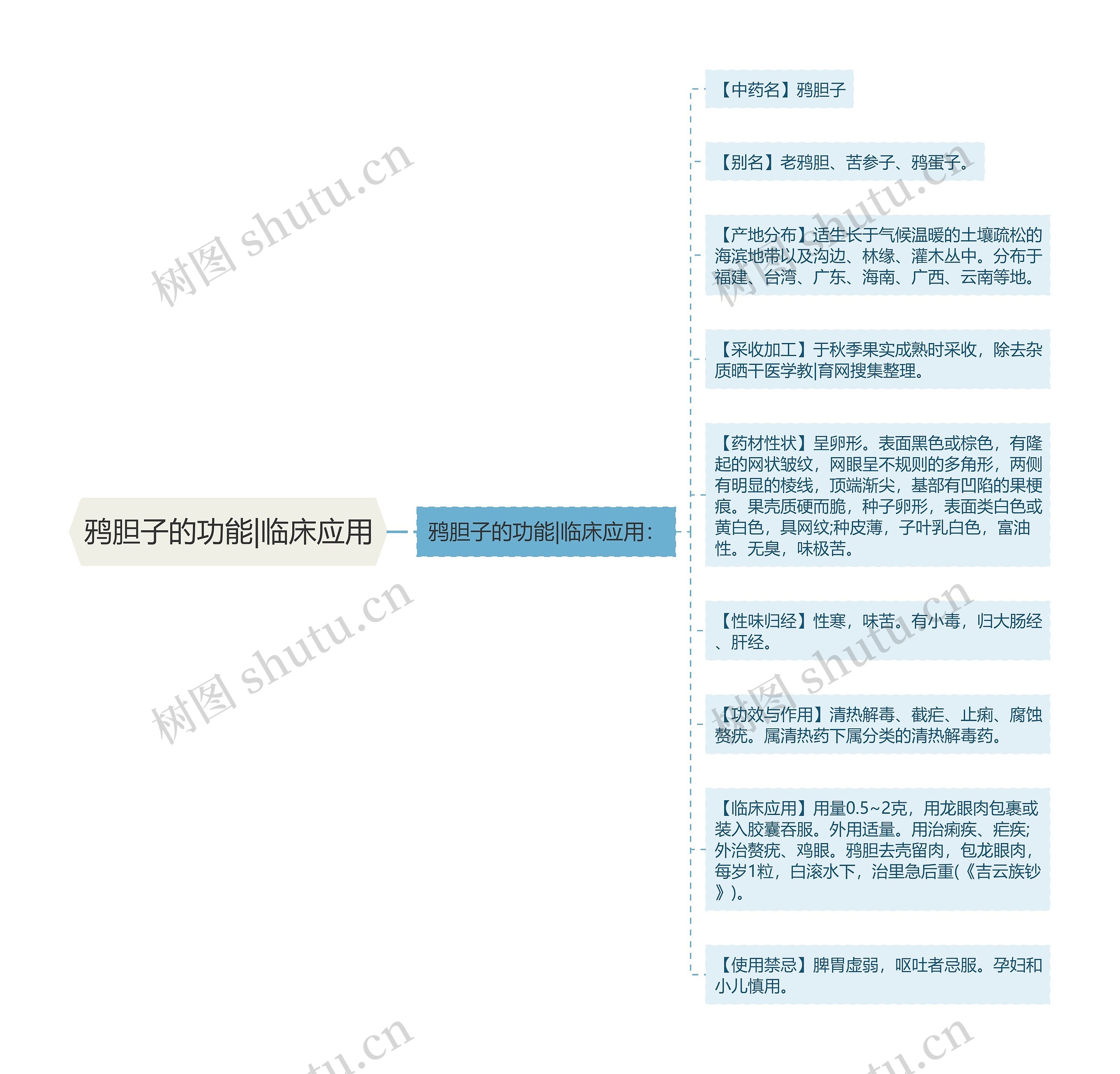 鸦胆子的功能|临床应用 鸦胆子的功能|临床应用