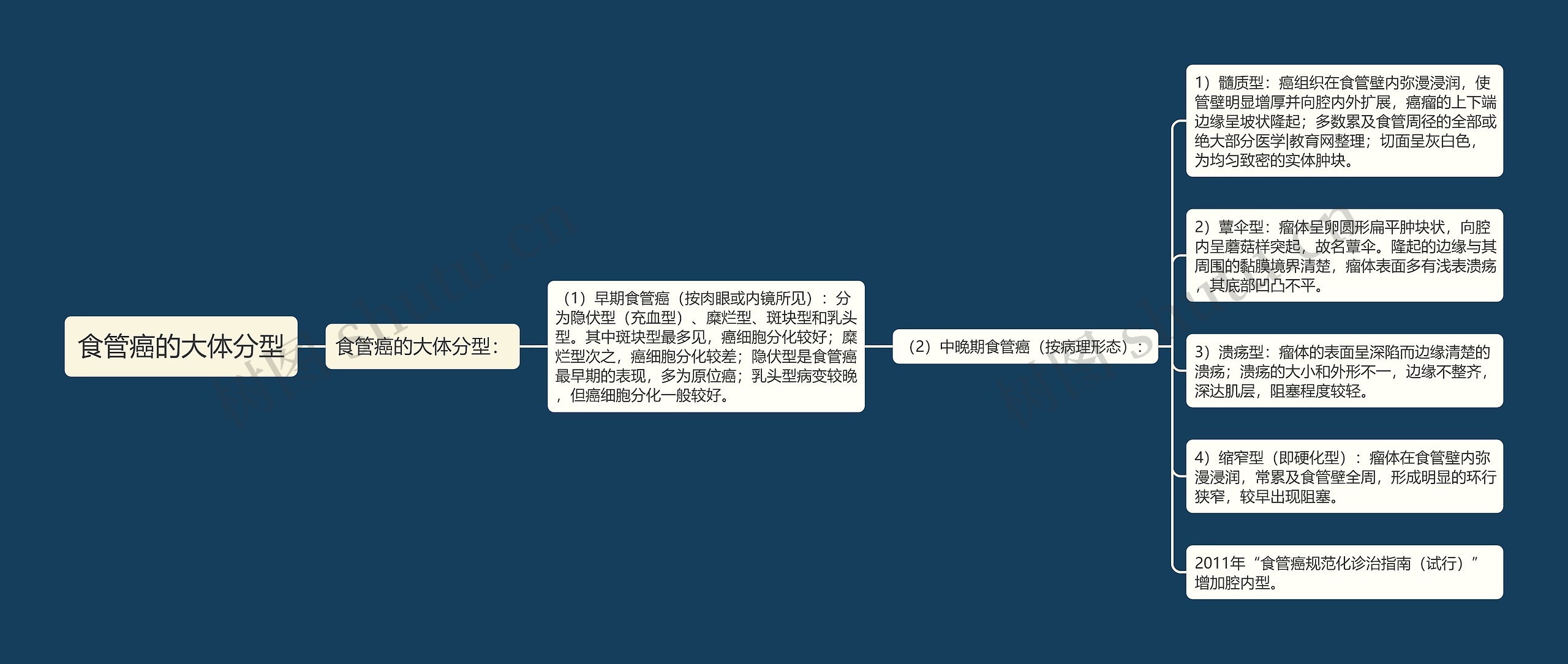 食管癌的大体分型 食管癌的大体分型