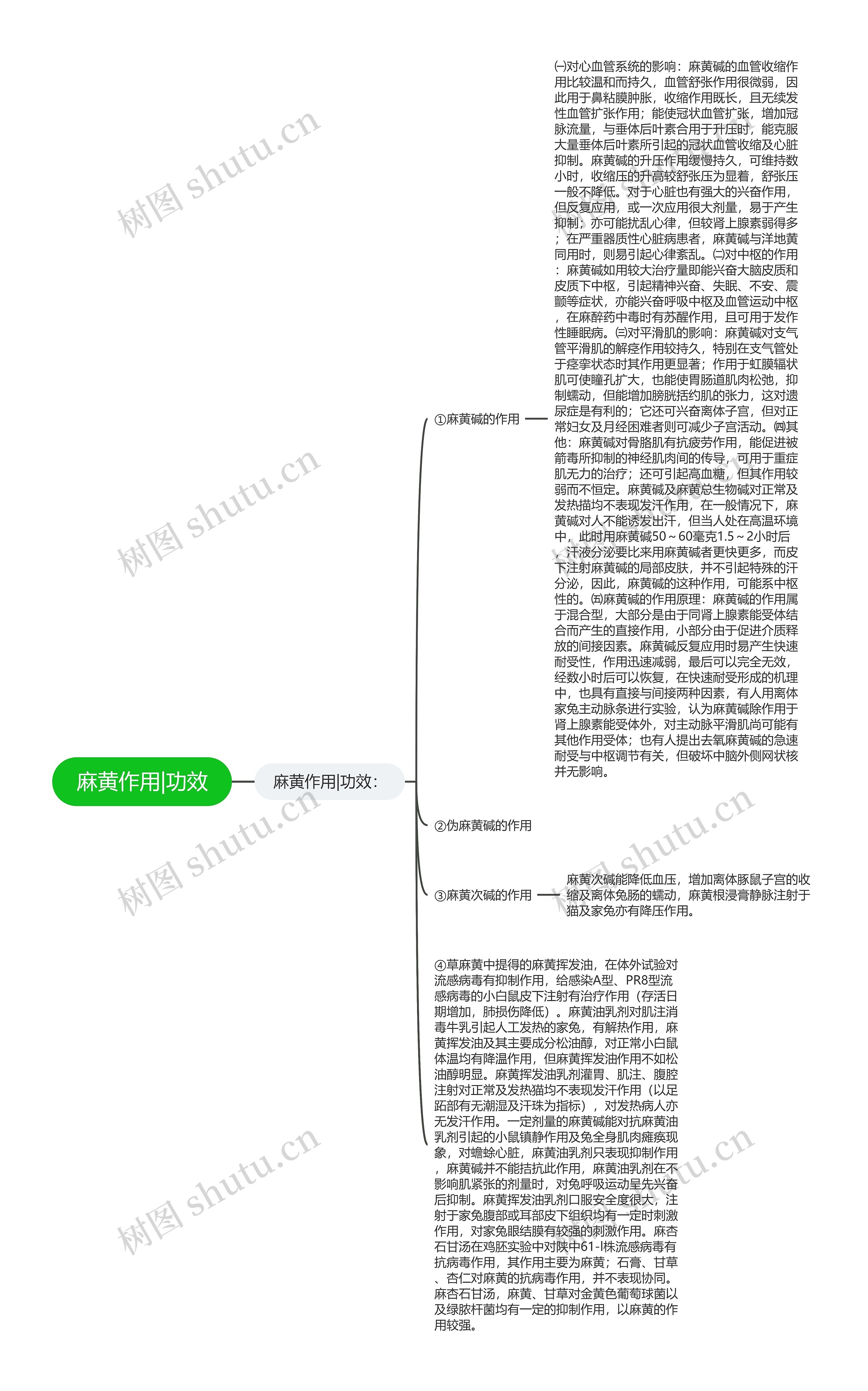 麻黄作用|功效思维导图