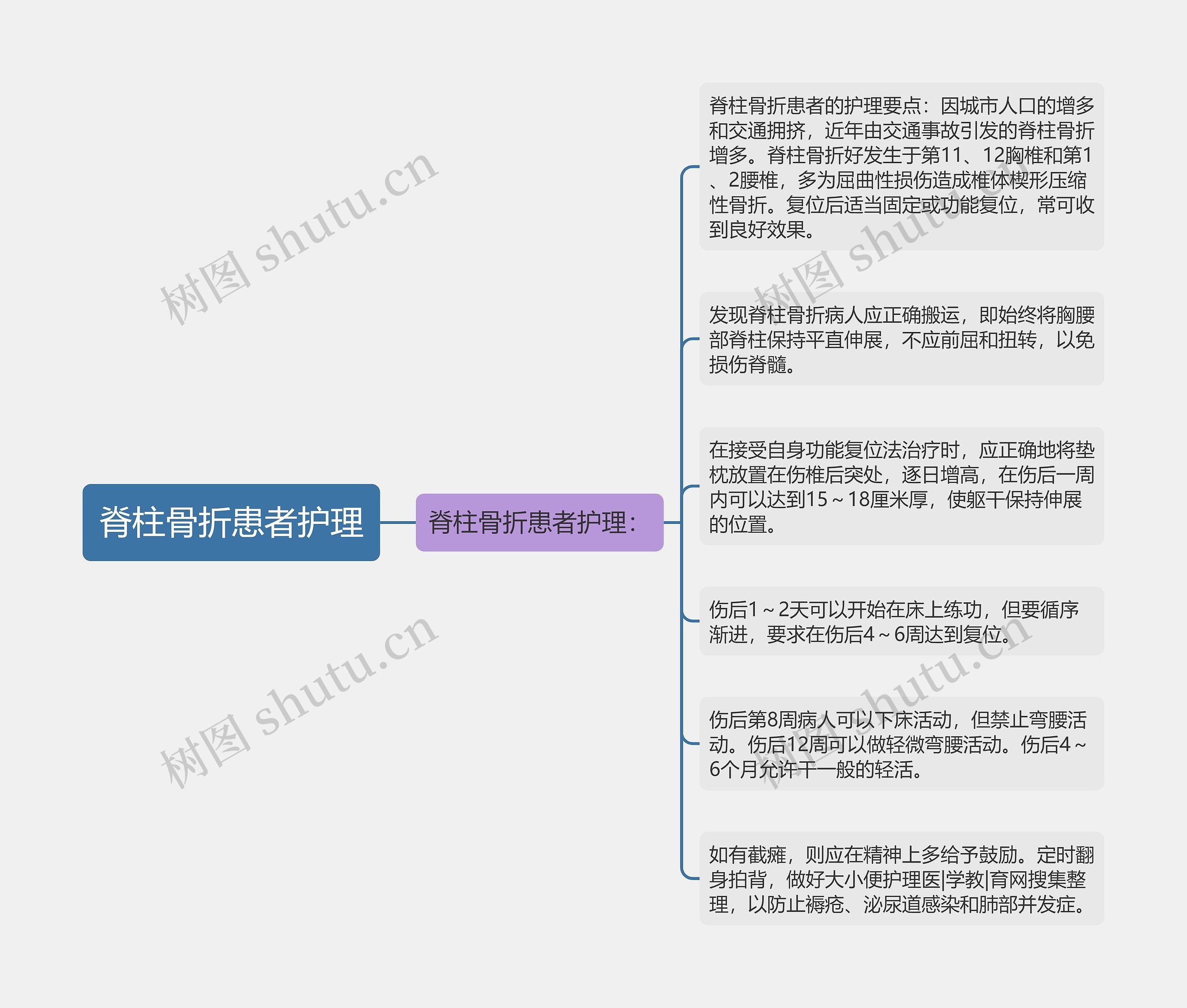 脊柱骨折患者护理思维导图