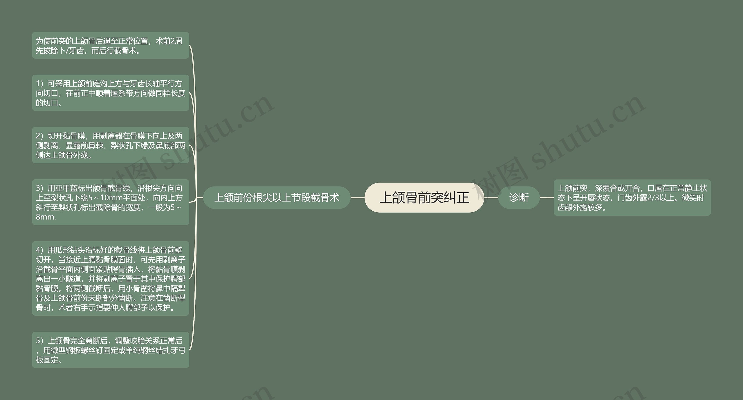 上颌骨前突纠正思维导图