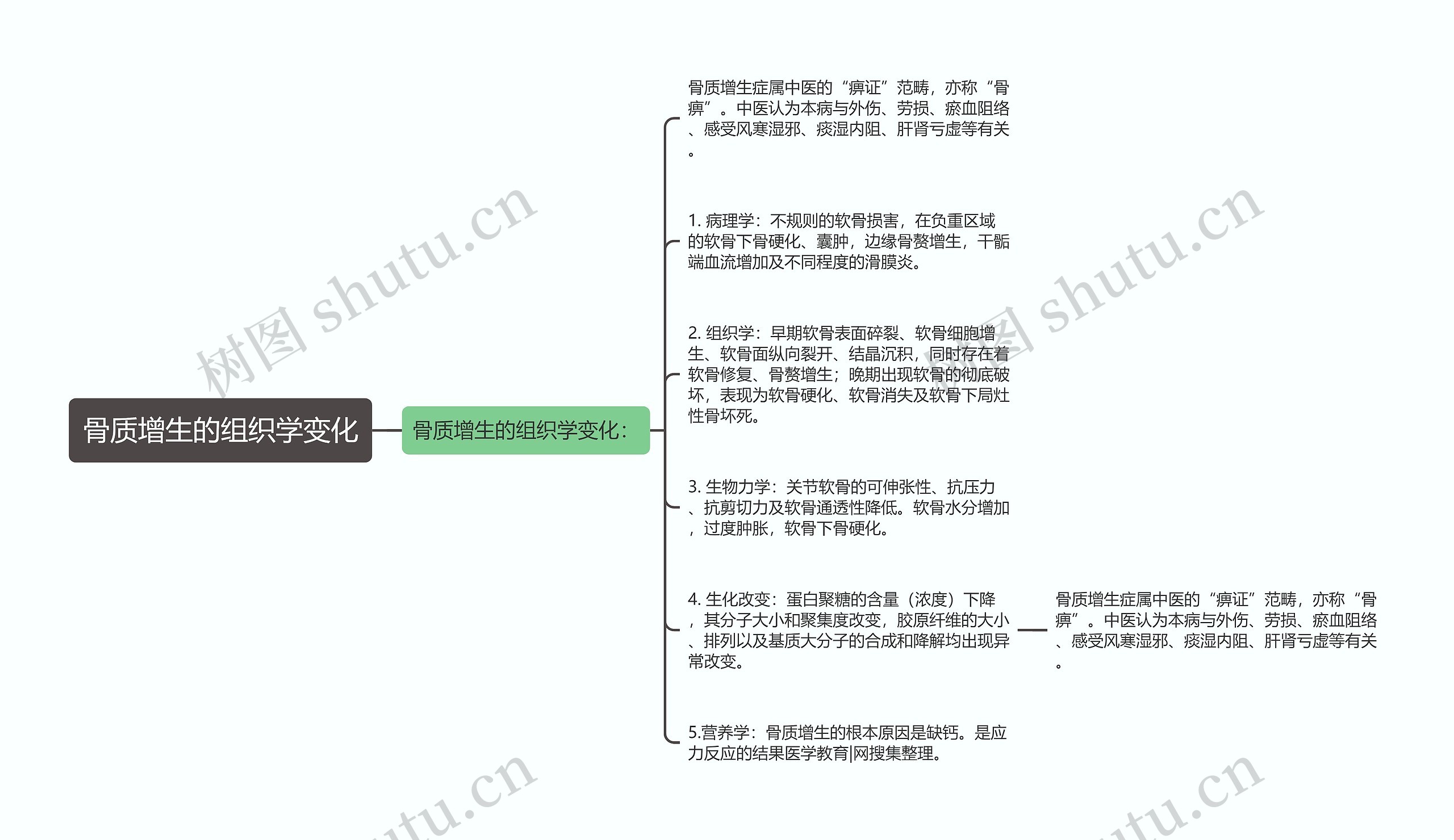 骨质增生的组织学变化思维导图