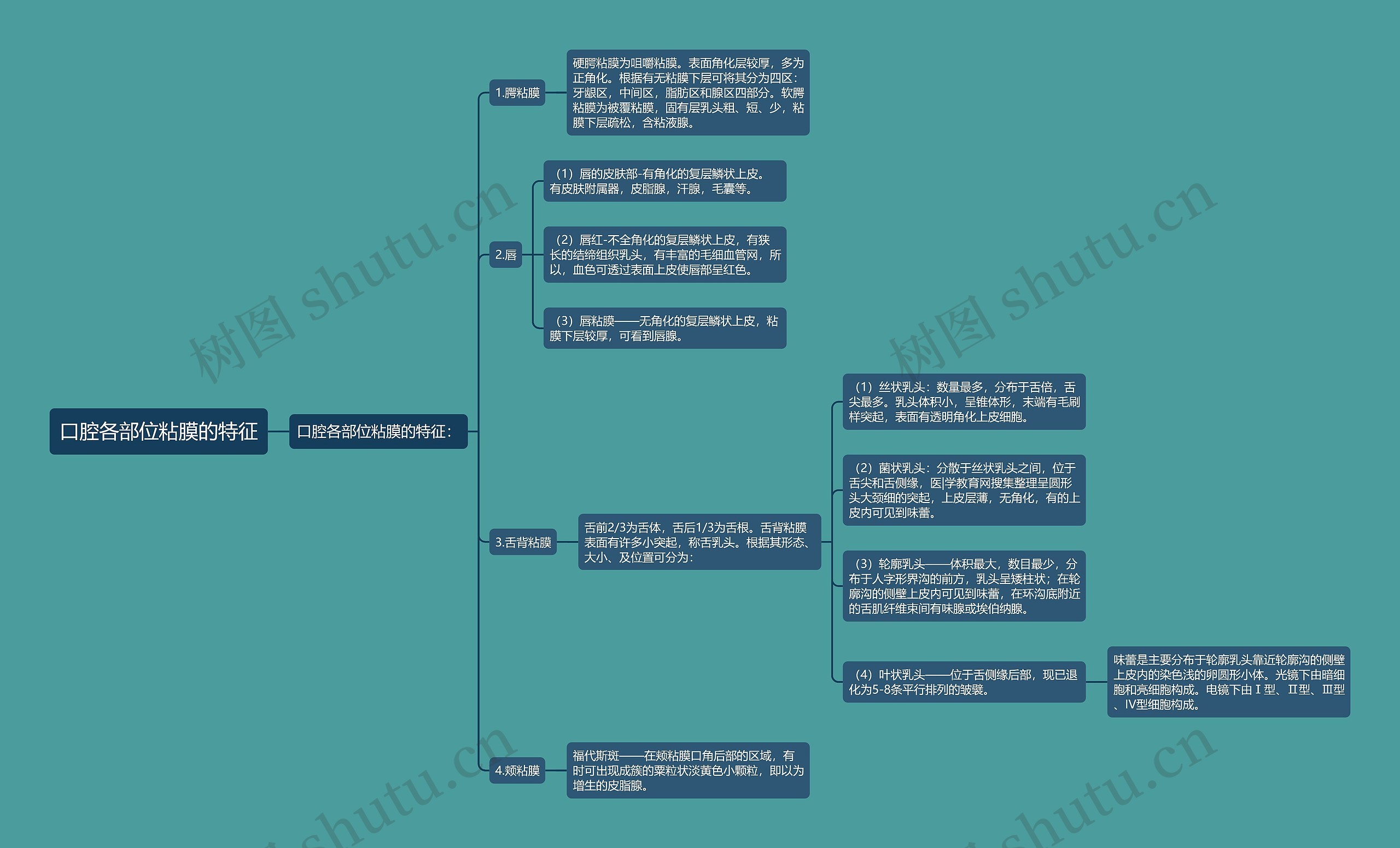 口腔各部位粘膜的特征 口腔各部位粘膜的特征