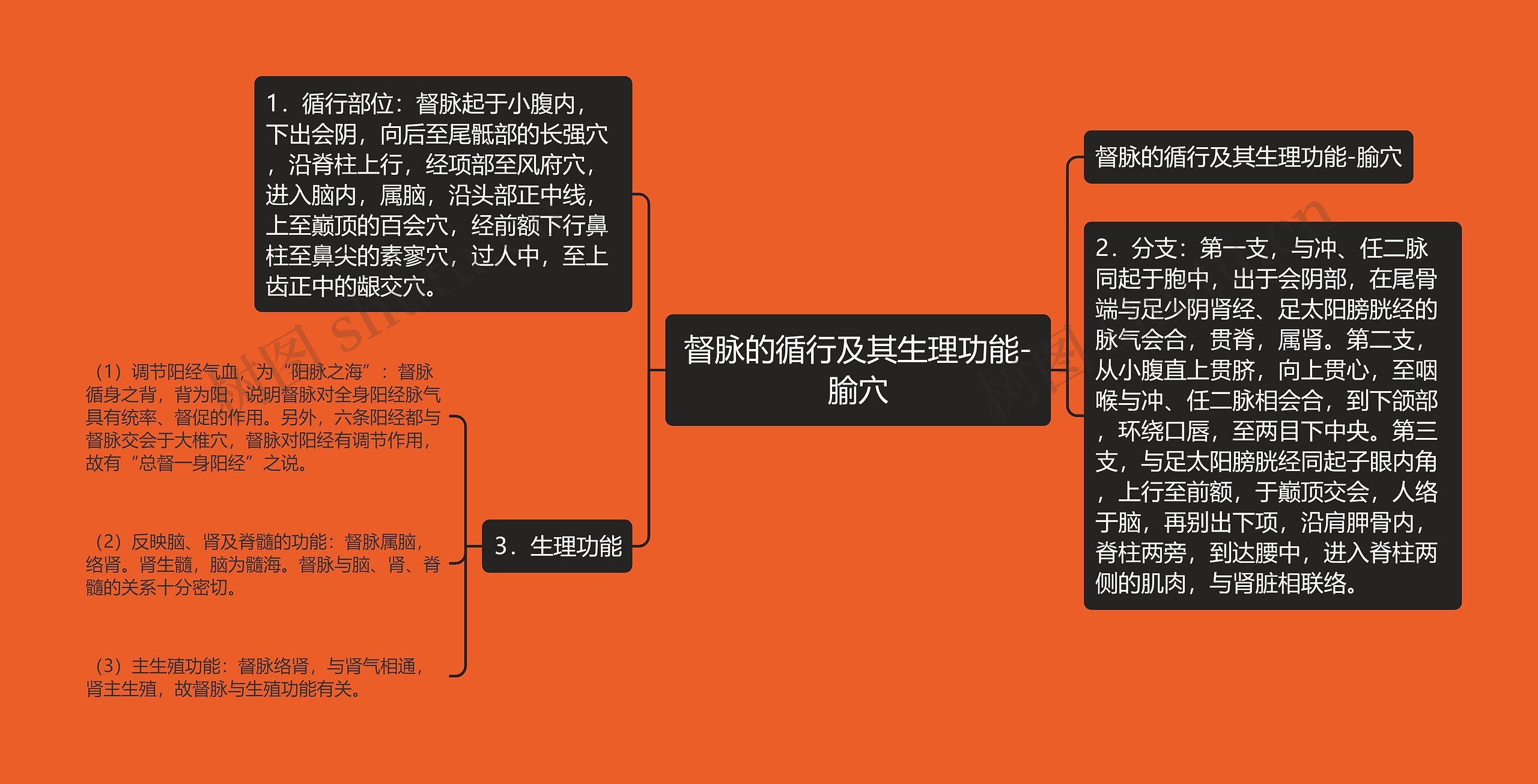 督脉的循行及其生理功能-腧穴思维导图