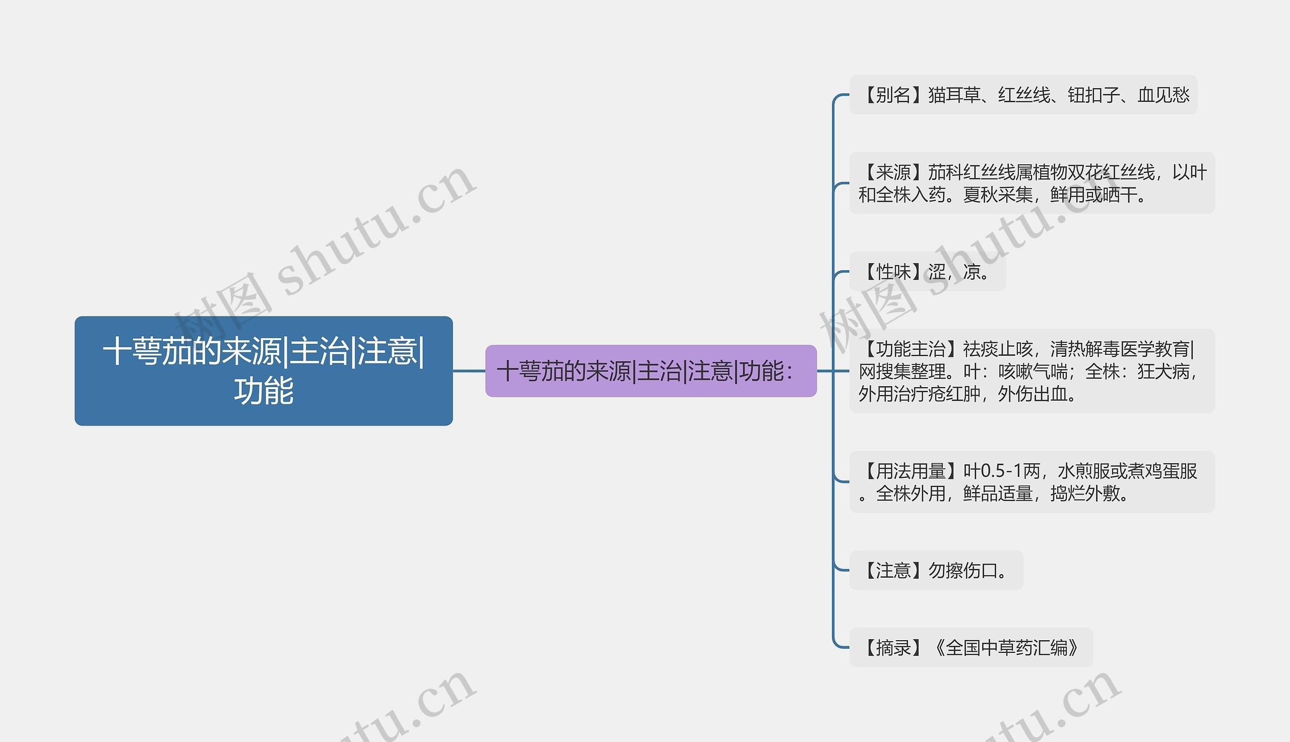 十萼茄的来源|主治|注意|功能思维导图