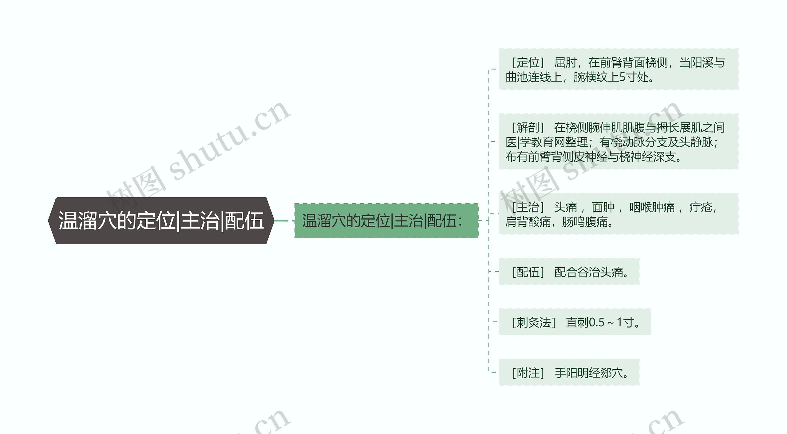 温溜穴的定位|主治|配伍