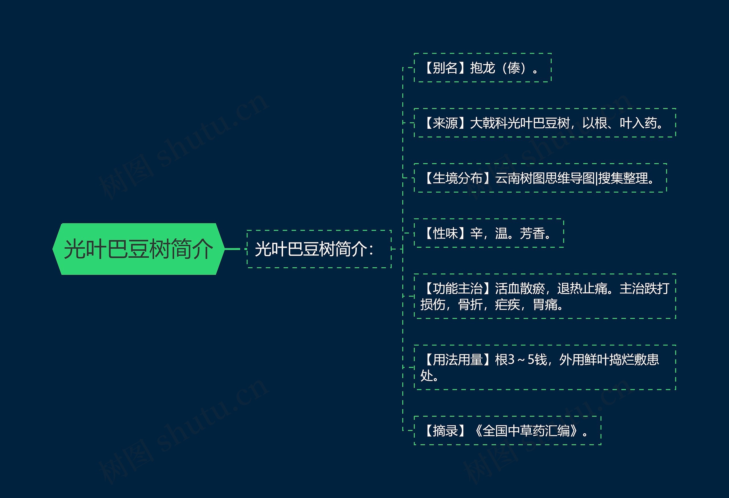 光叶巴豆树简介思维导图