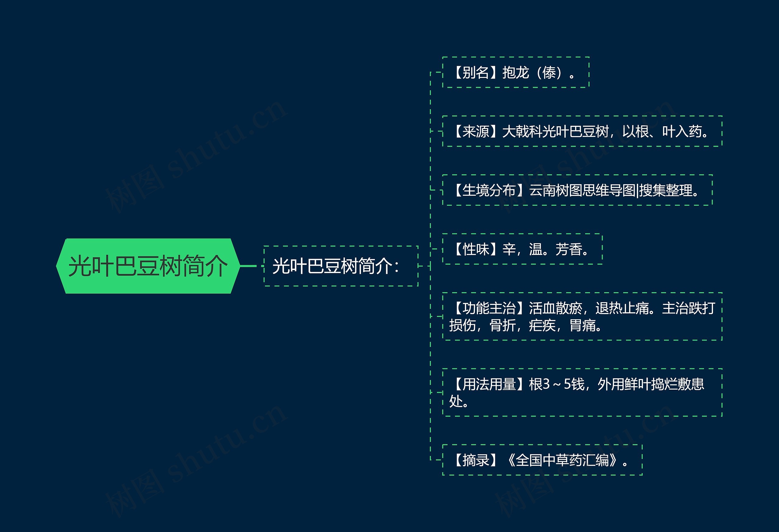 光叶巴豆树简介 光叶巴豆树简介