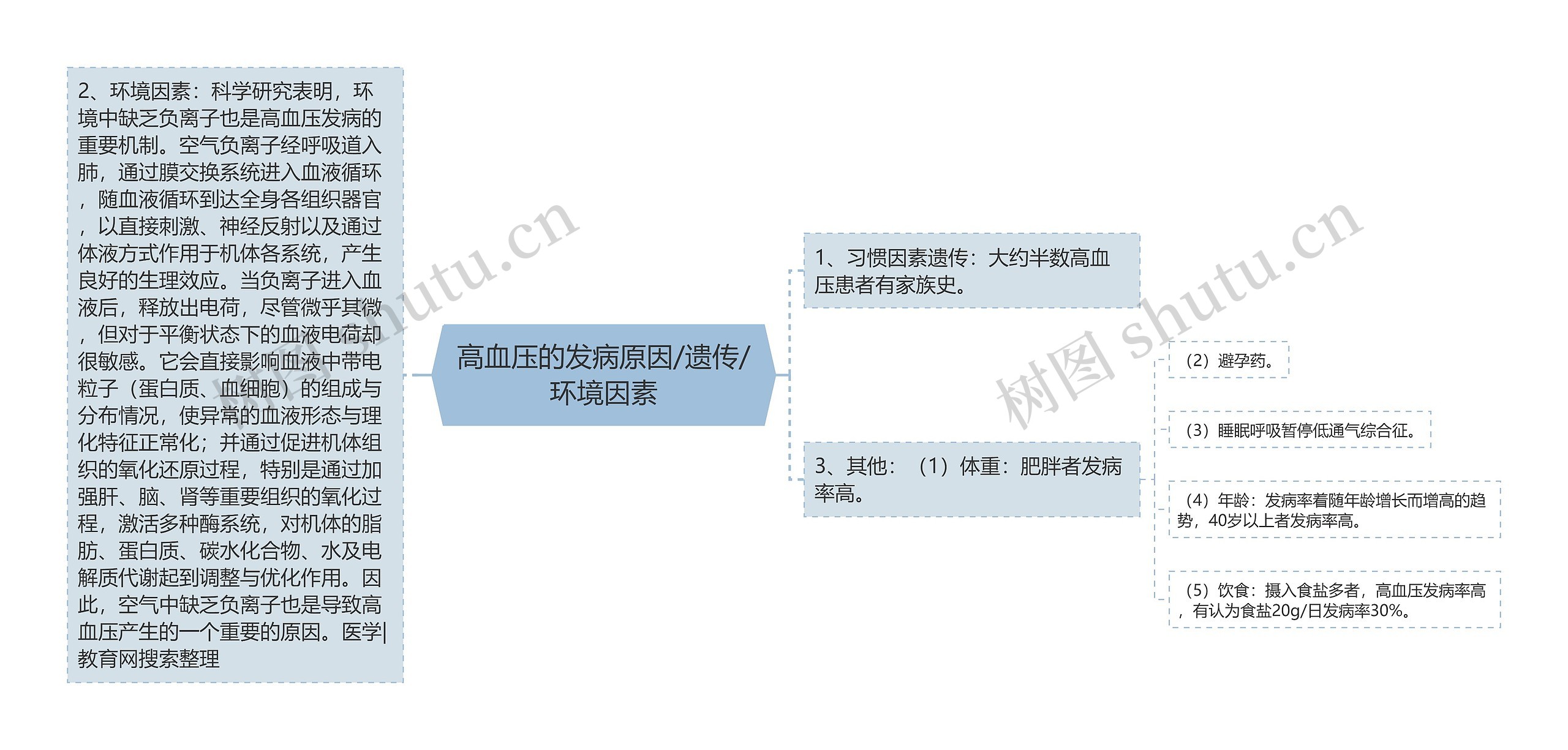 高血压的发病原因/遗传/环境因素思维导图