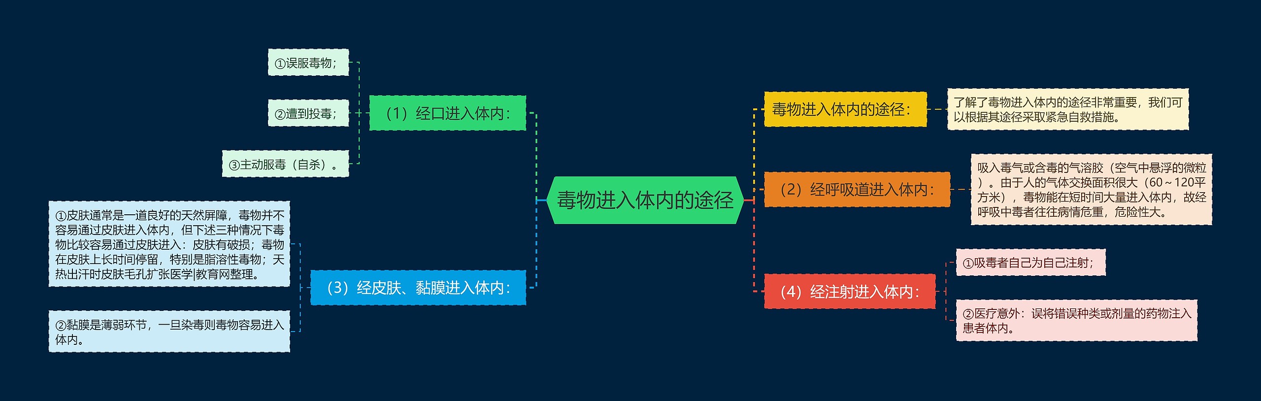 毒物进入体内的途径思维导图