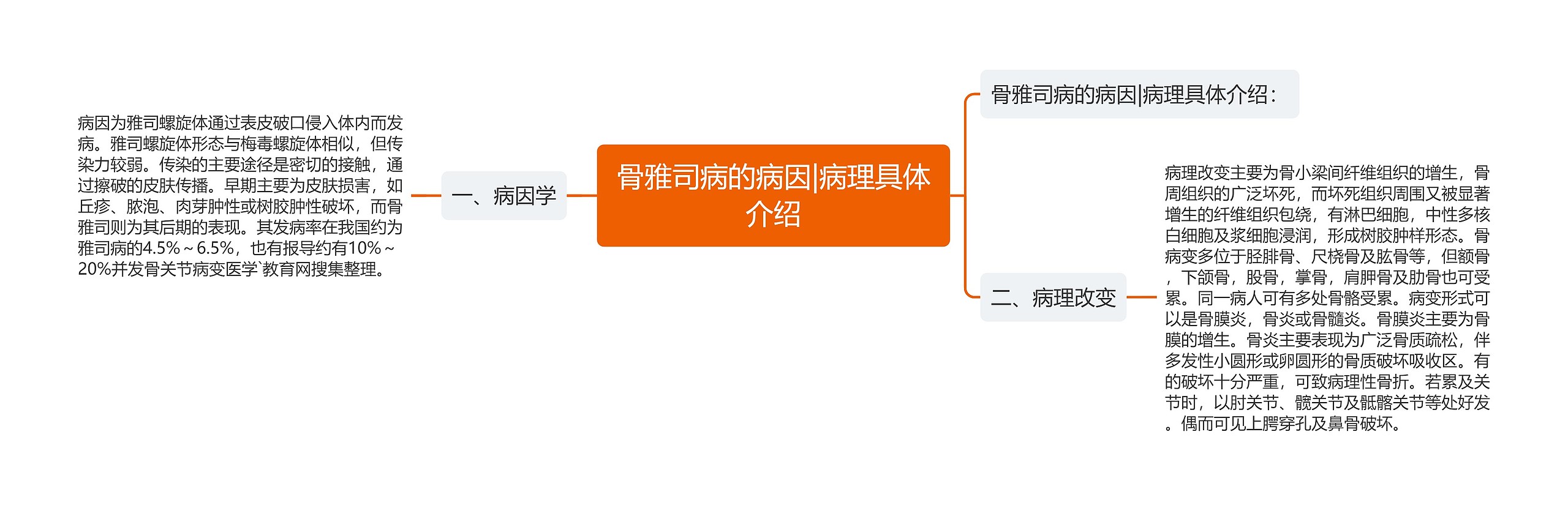 骨雅司病的病因|病理具体介绍思维导图