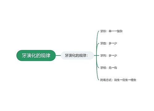 牙演化的规律