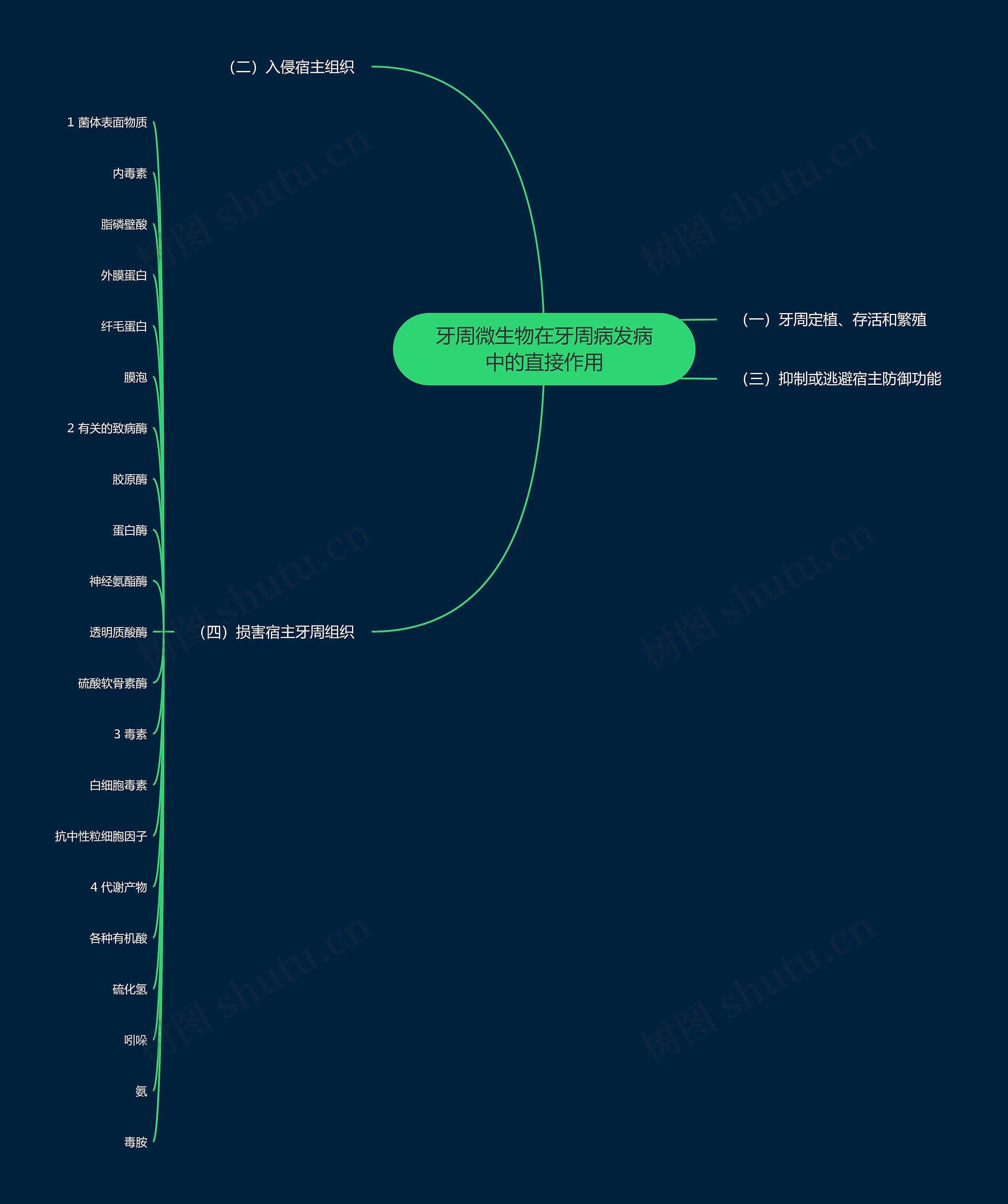 牙周微生物在牙周病发病中的直接作用思维导图