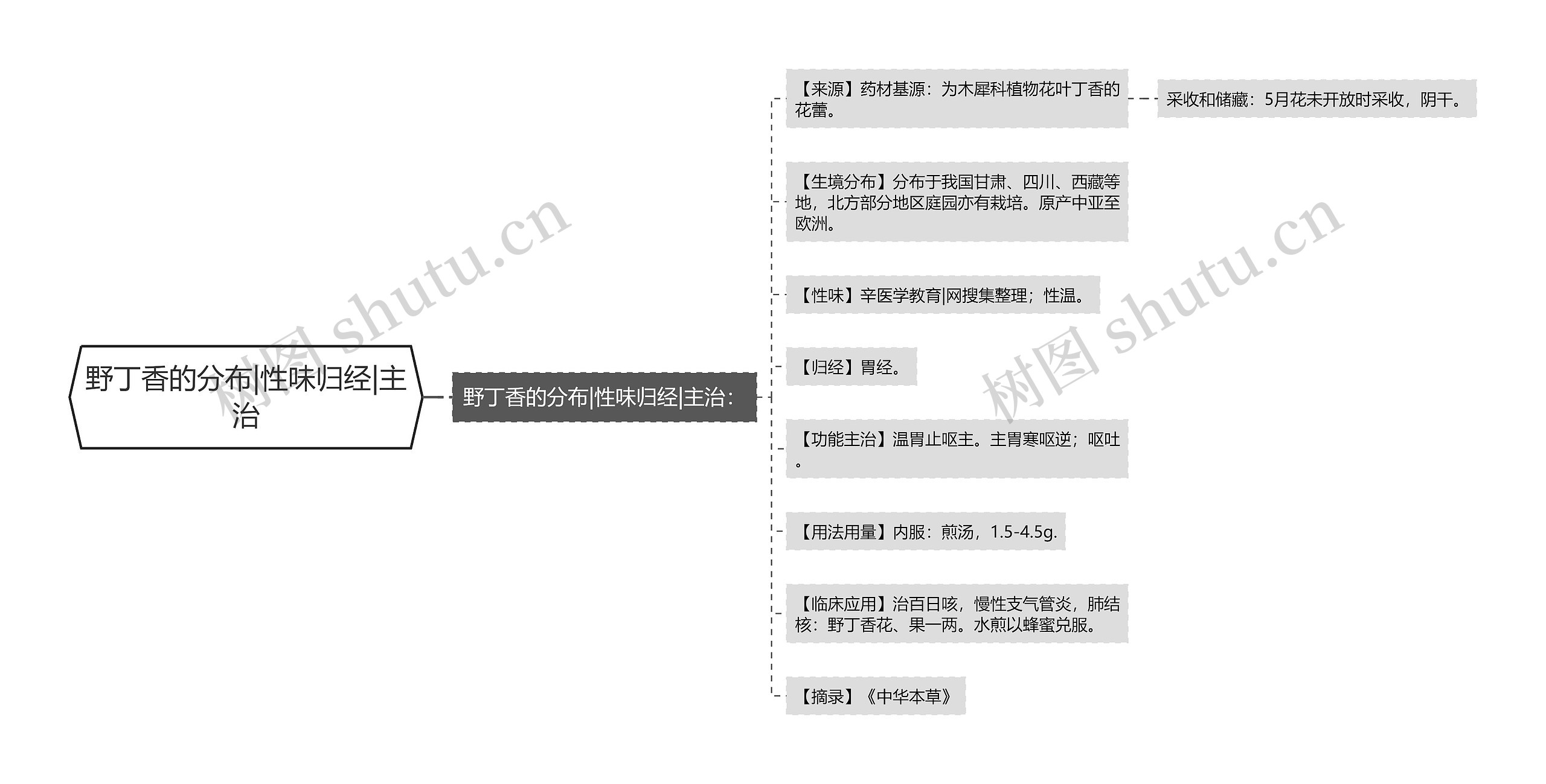 野丁香的分布|性味归经|主治思维导图