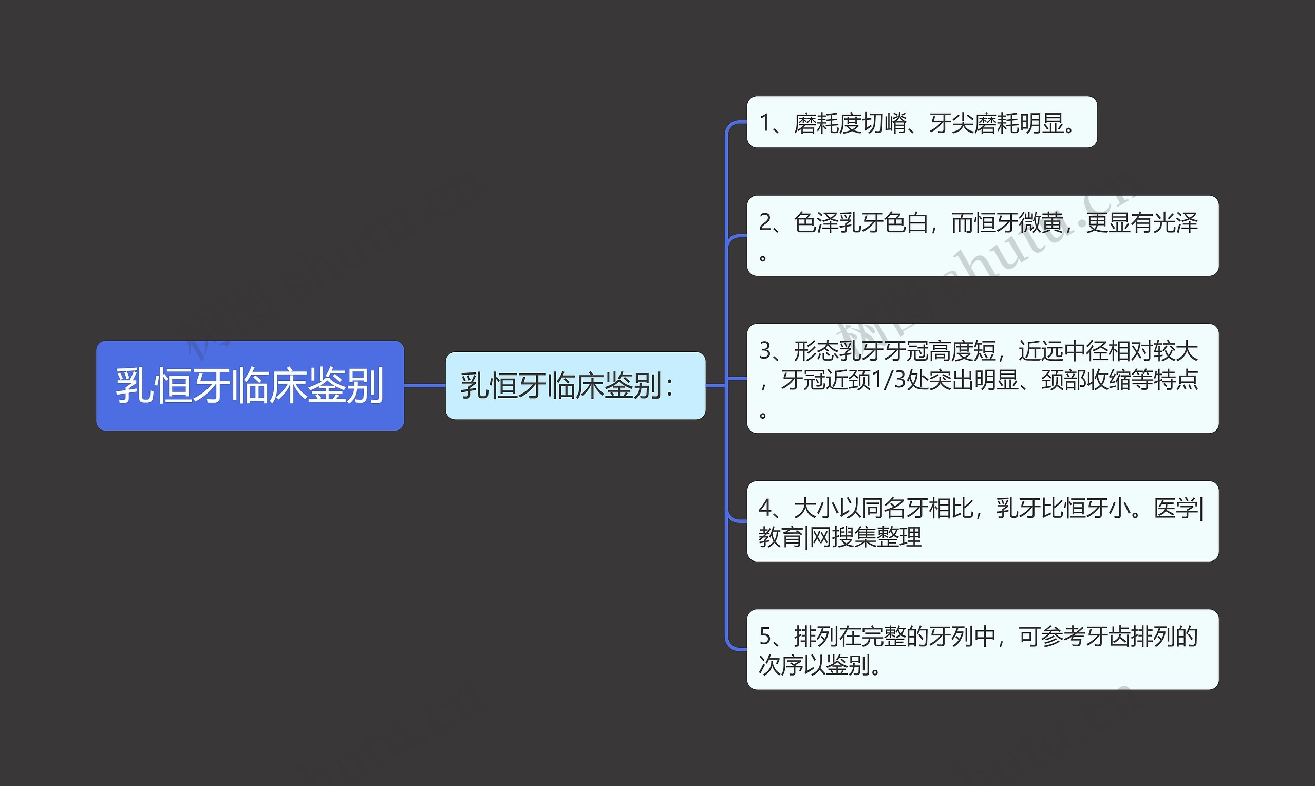 乳恒牙临床鉴别 乳恒牙临床鉴别