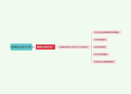 颌骨生长的方向