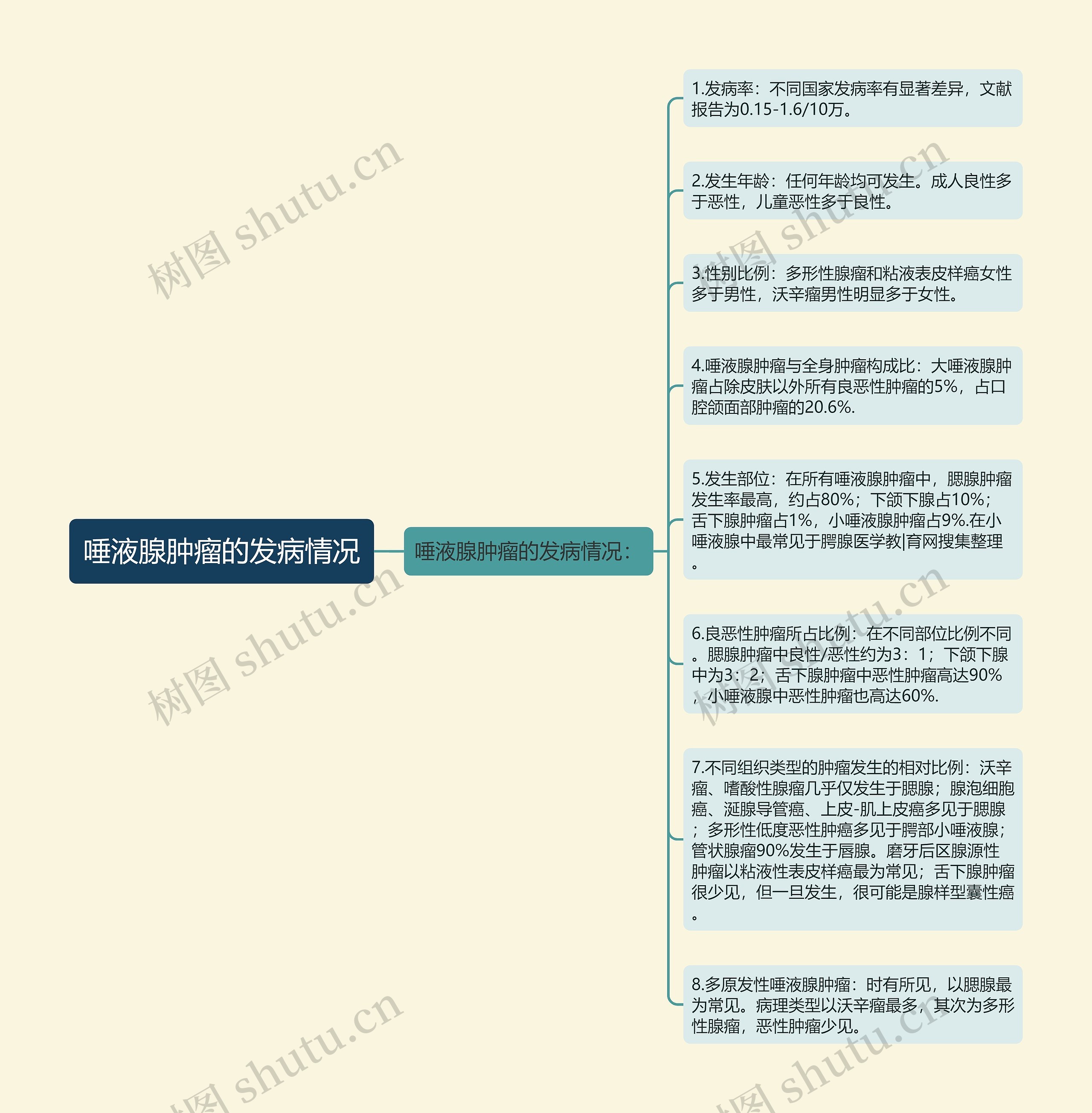 唾液腺肿瘤的发病情况思维导图