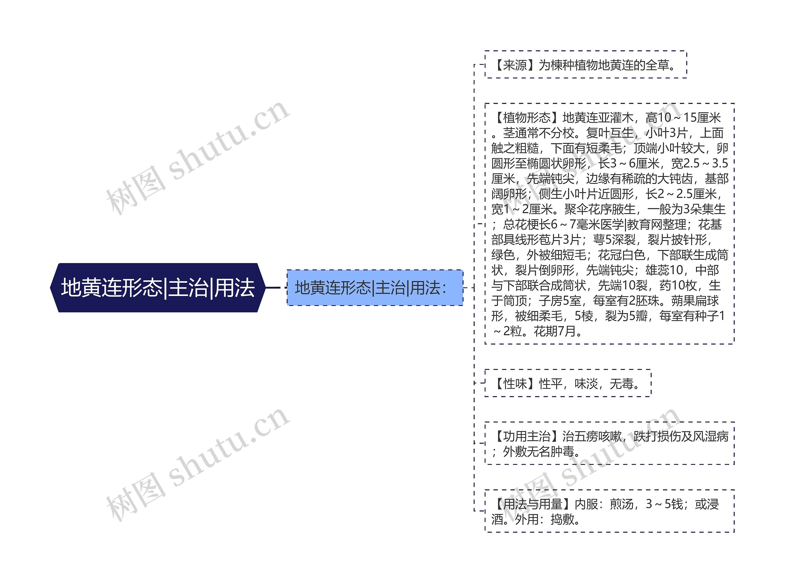 地黄连形态|主治|用法思维导图