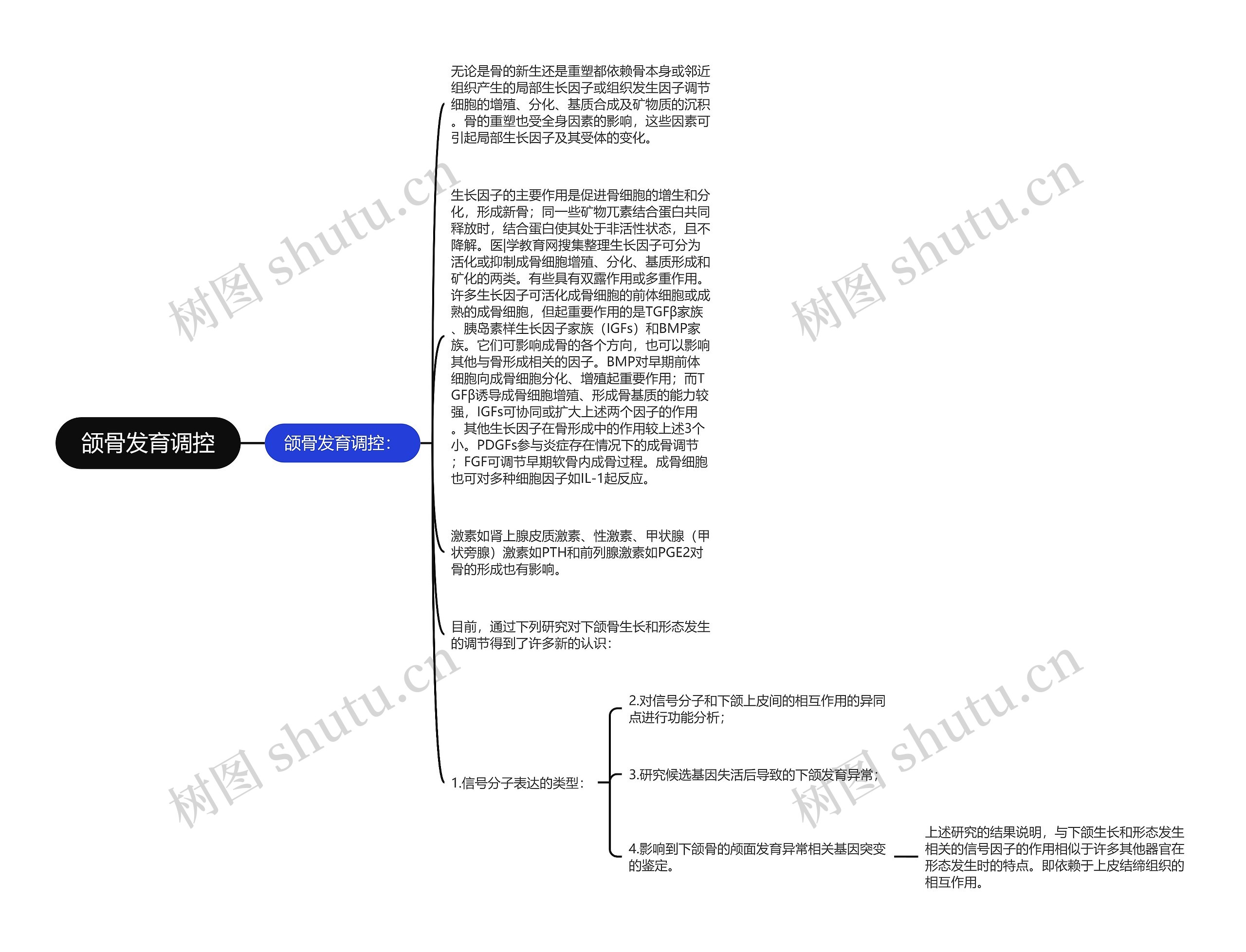 颌骨发育调控思维导图