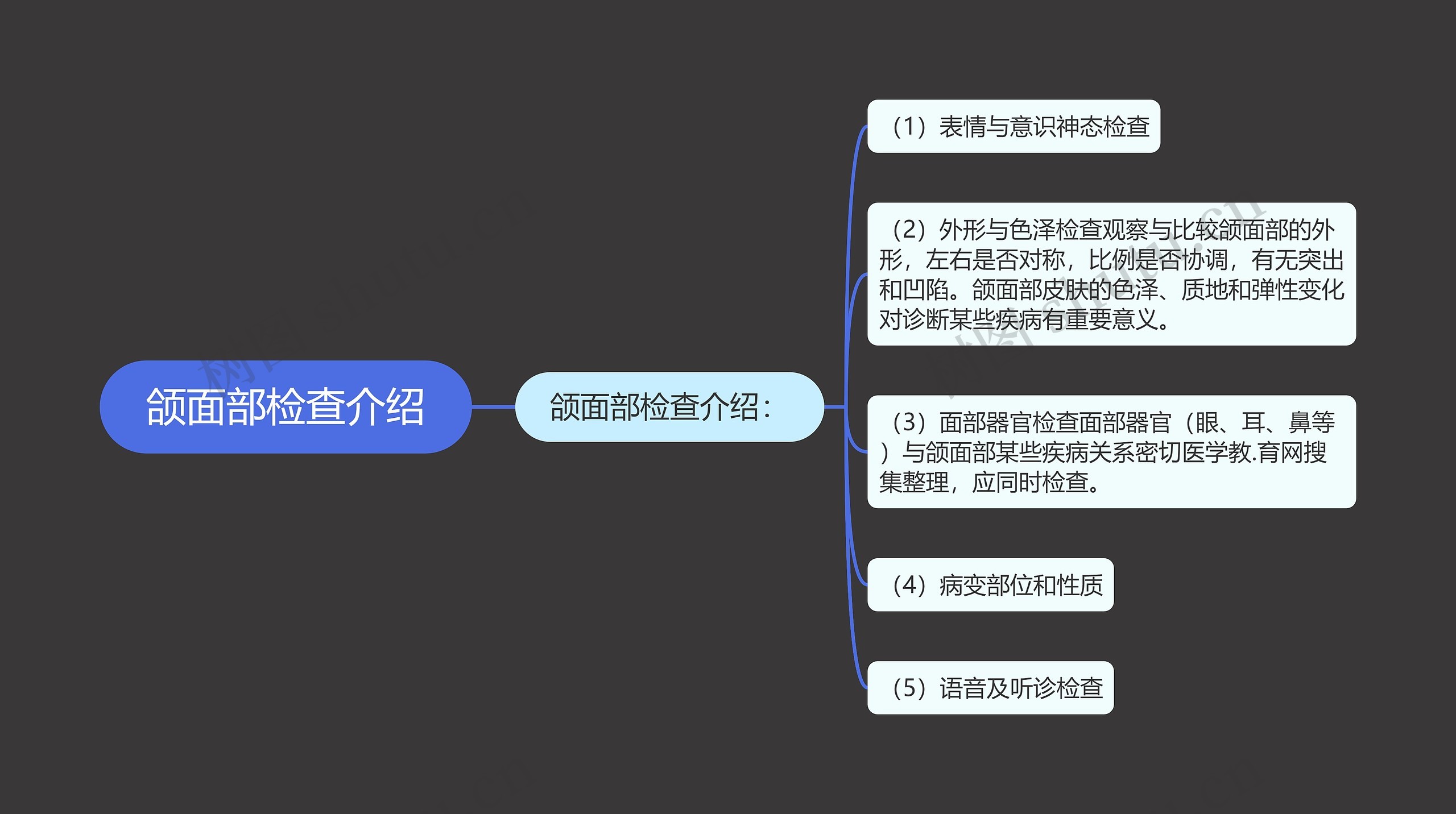 颌面部检查介绍思维导图