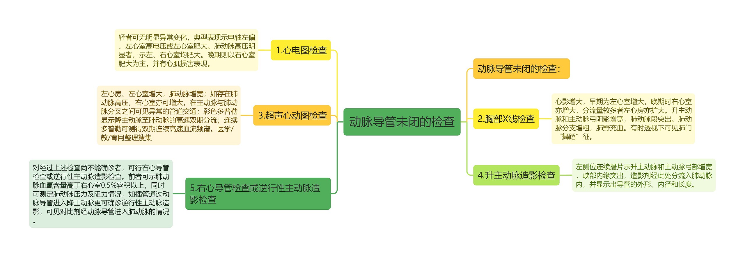 动脉导管未闭的检查