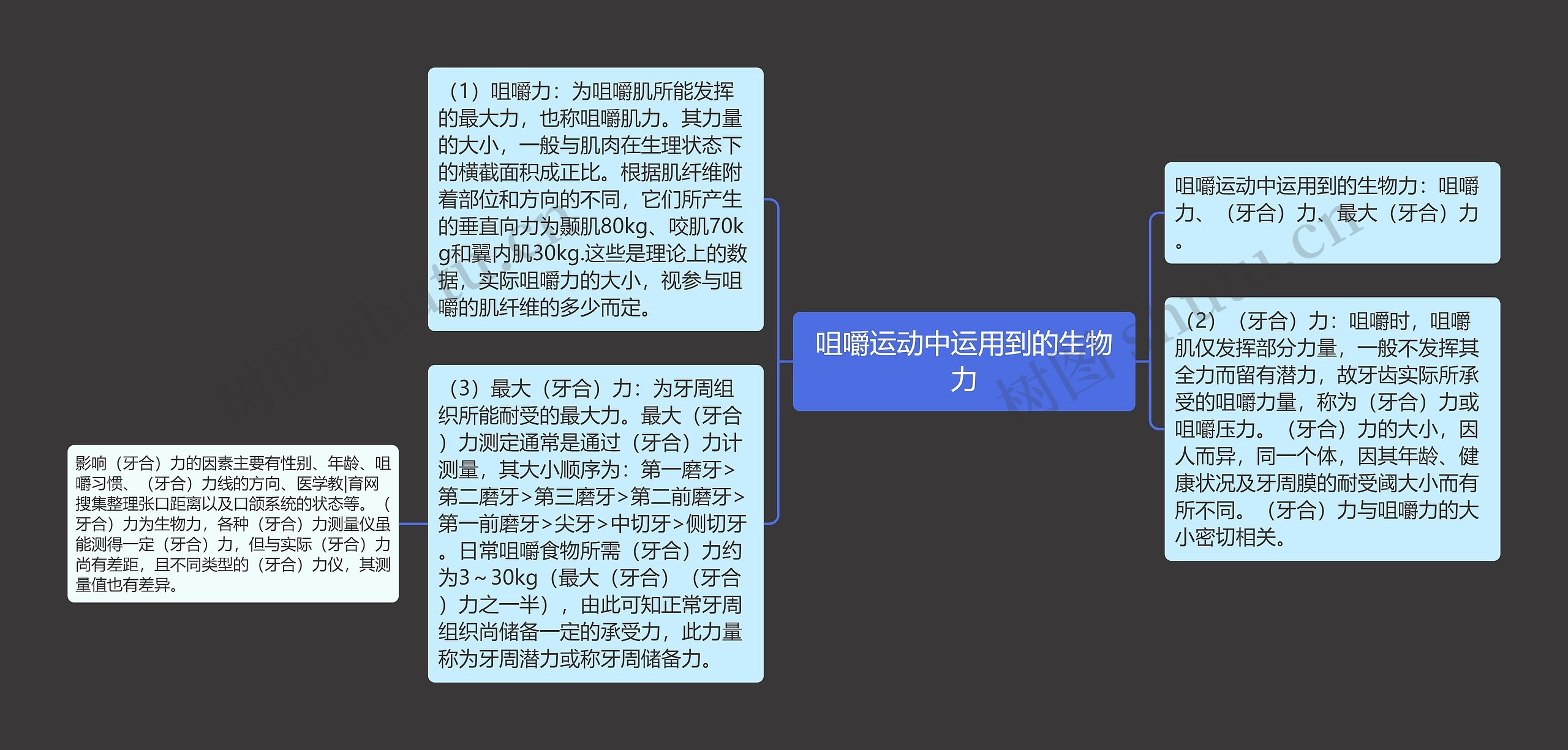 咀嚼运动中运用到的生物力思维导图