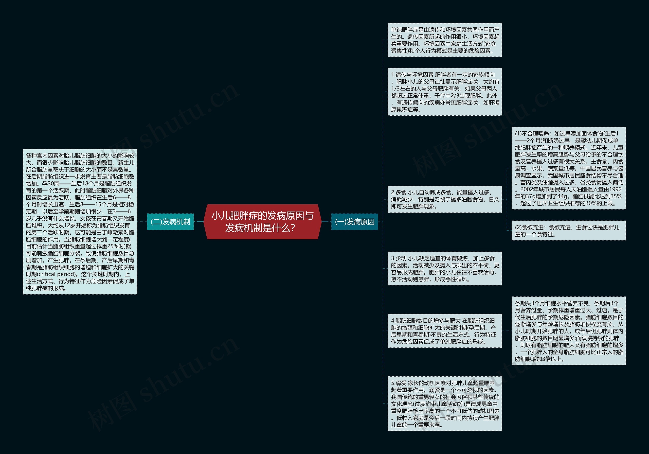 小儿肥胖症的发病原因与发病机制是什么？思维导图