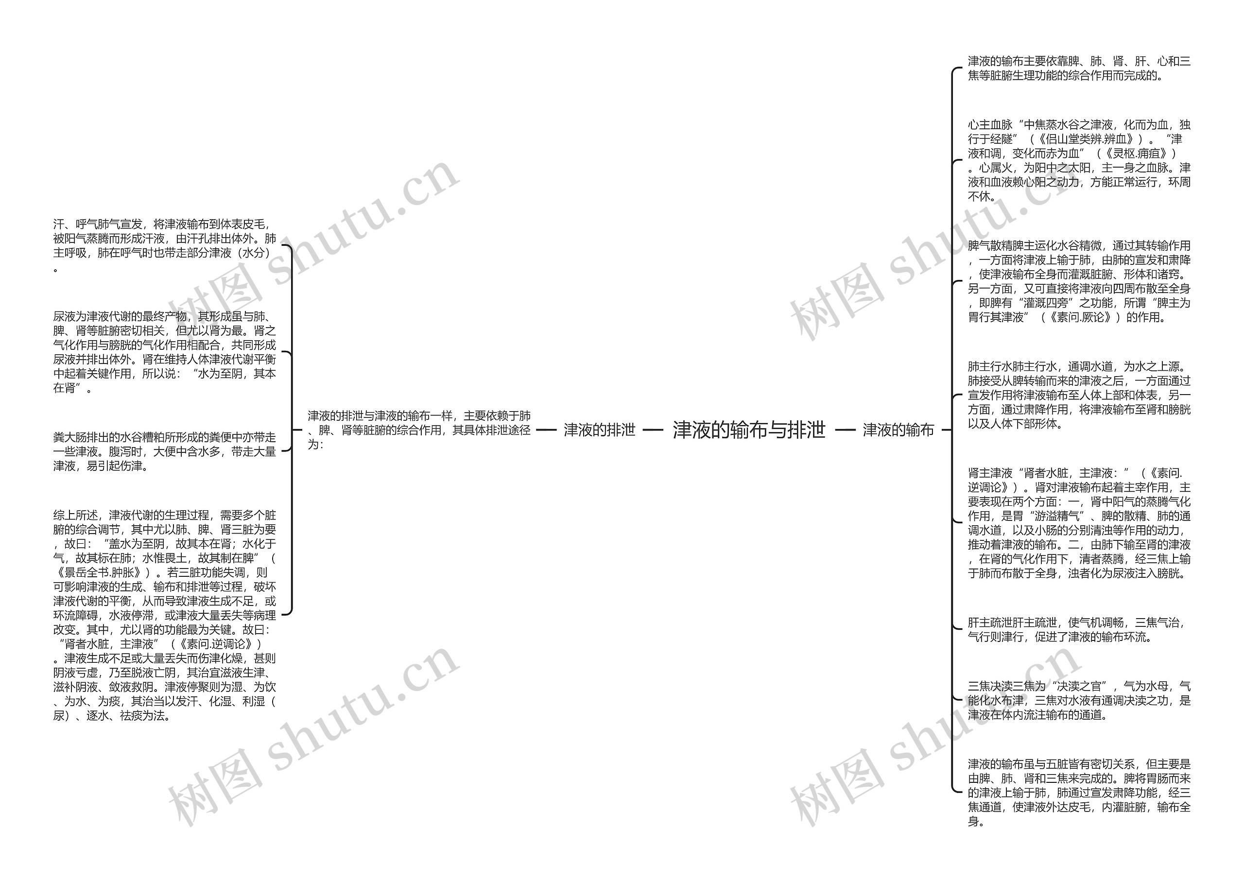 津液的输布与排泄思维导图