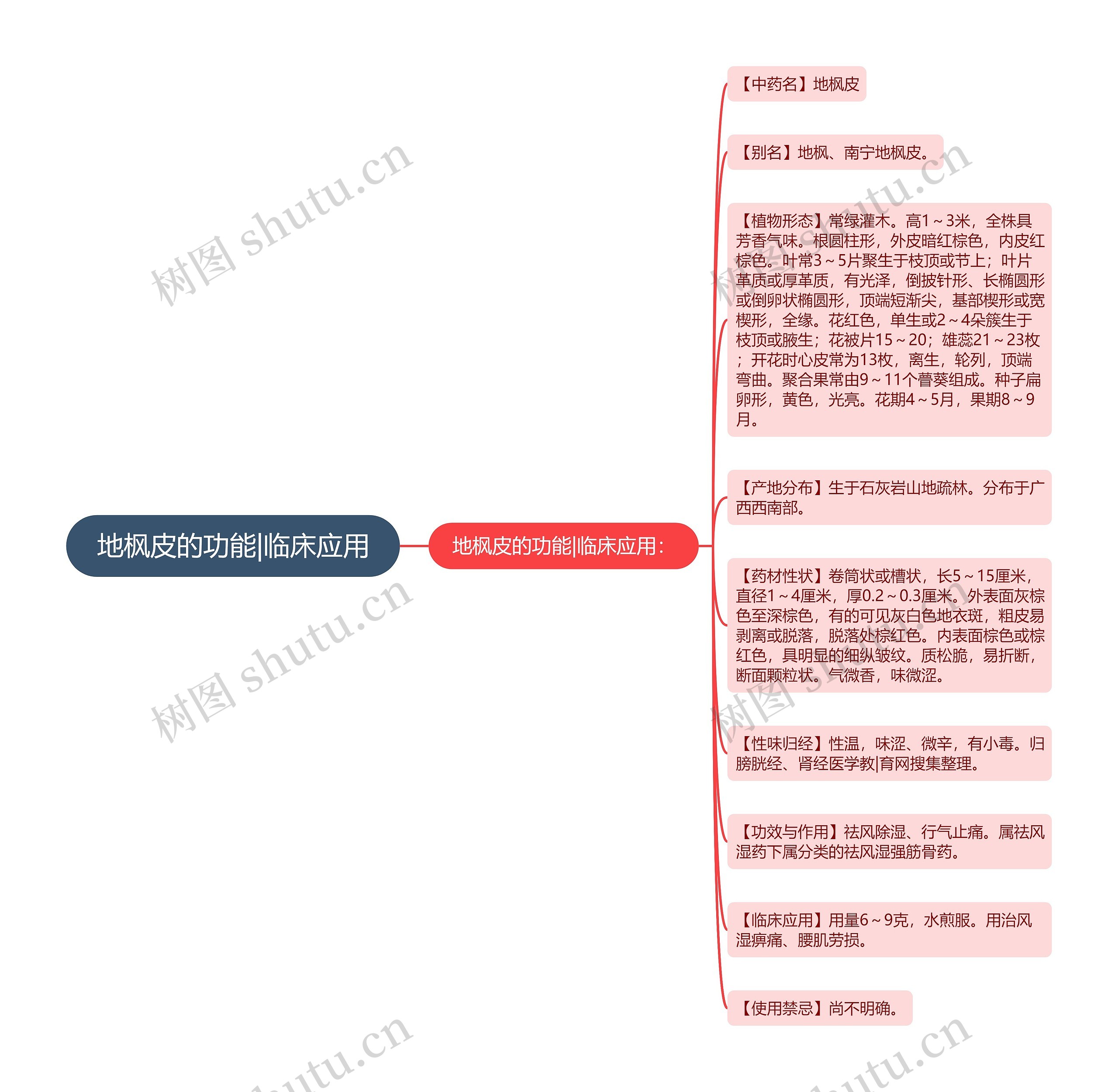 地枫皮的功能|临床应用 地枫皮的功能|临床应用