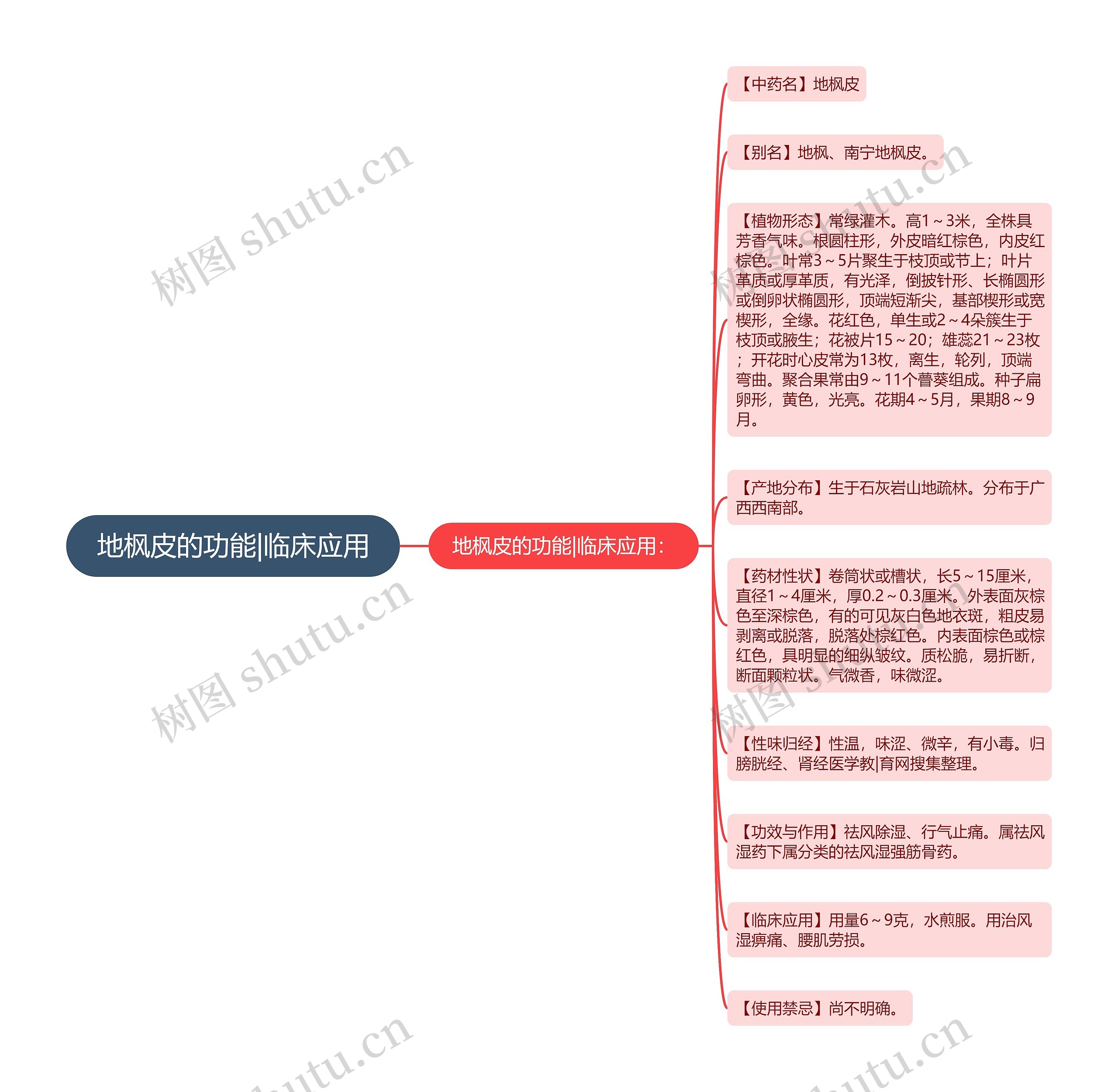 地枫皮的功能|临床应用思维导图