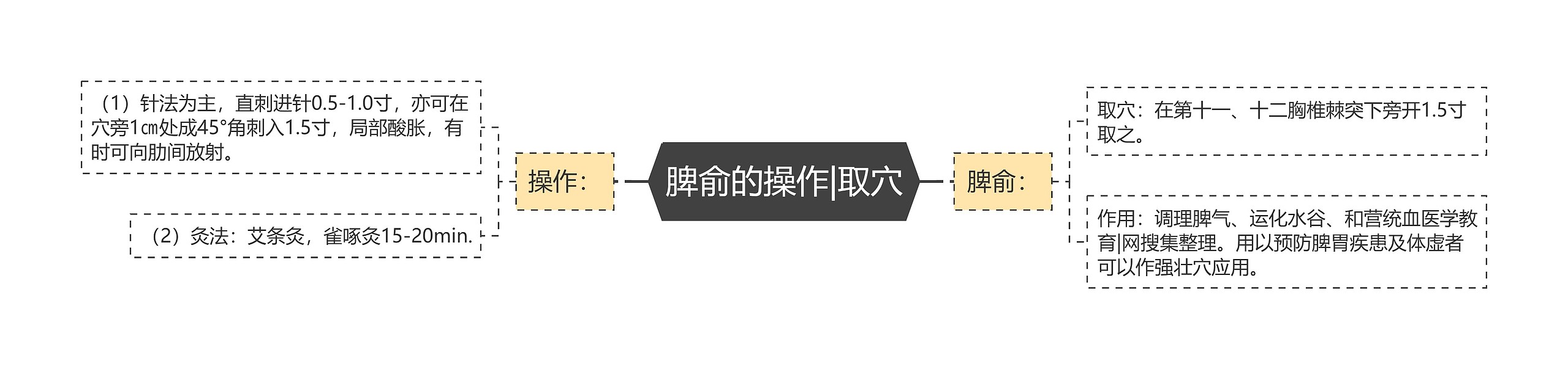 脾俞的操作|取穴 脾俞的操作|取穴