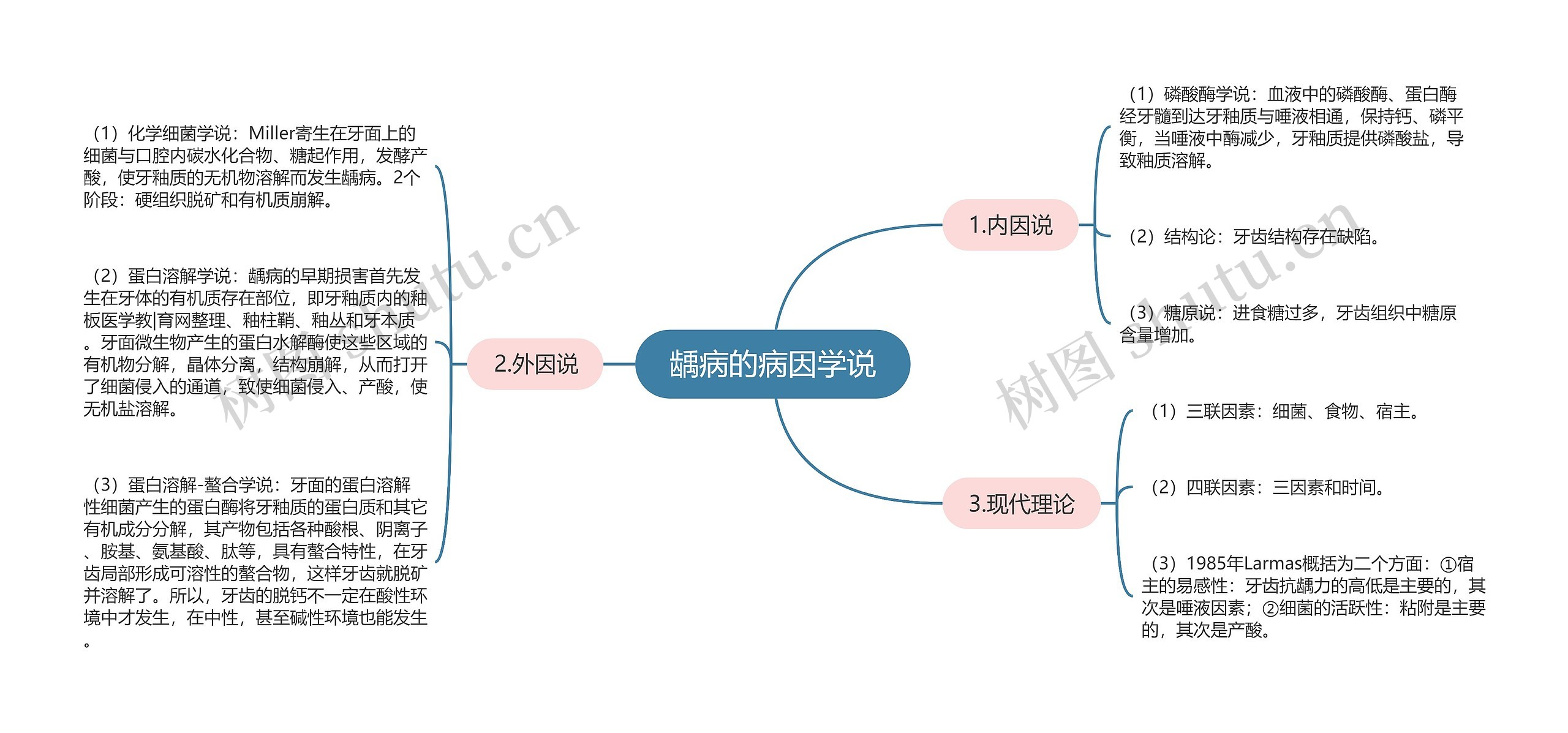 龋病的病因学说