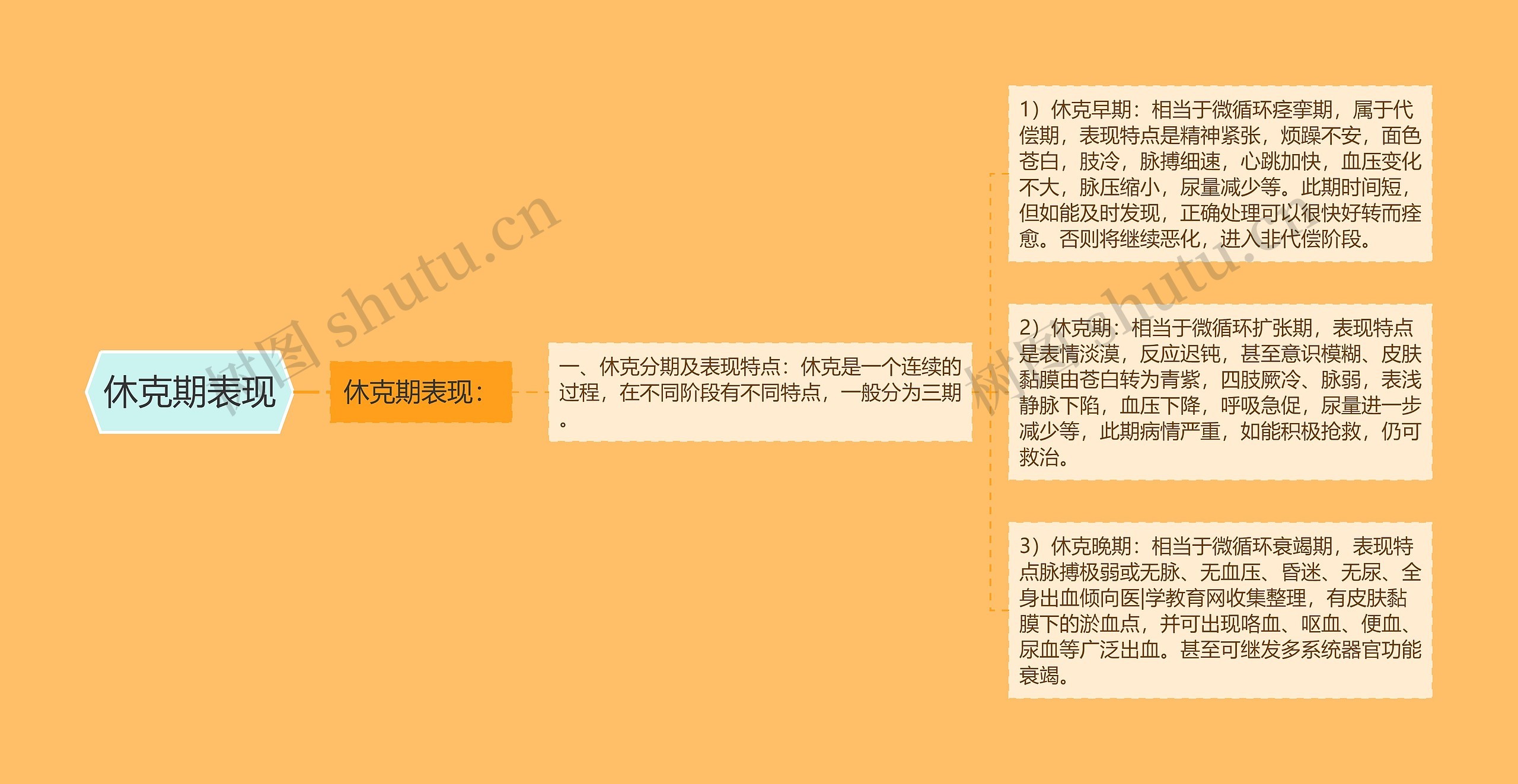 休克期表现 休克期表现