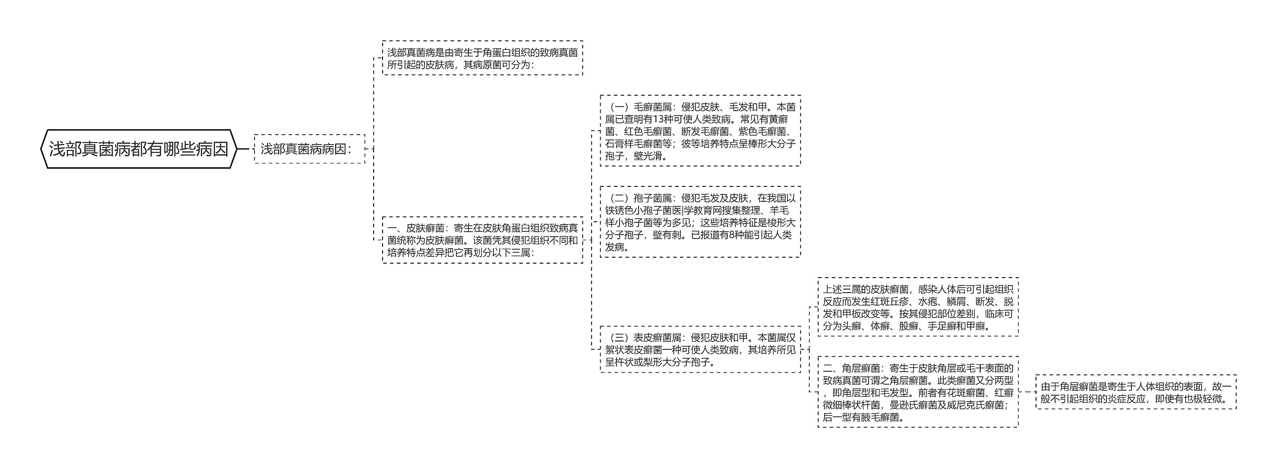 浅部真菌病都有哪些病因 浅部真菌病都有哪些病因