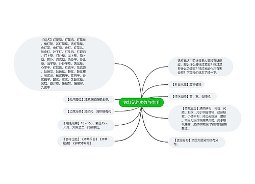 锦灯笼的功效与作用