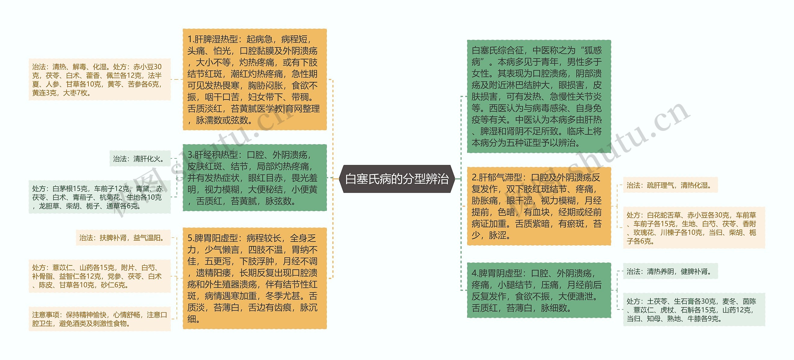 白塞氏病的分型辨治思维导图