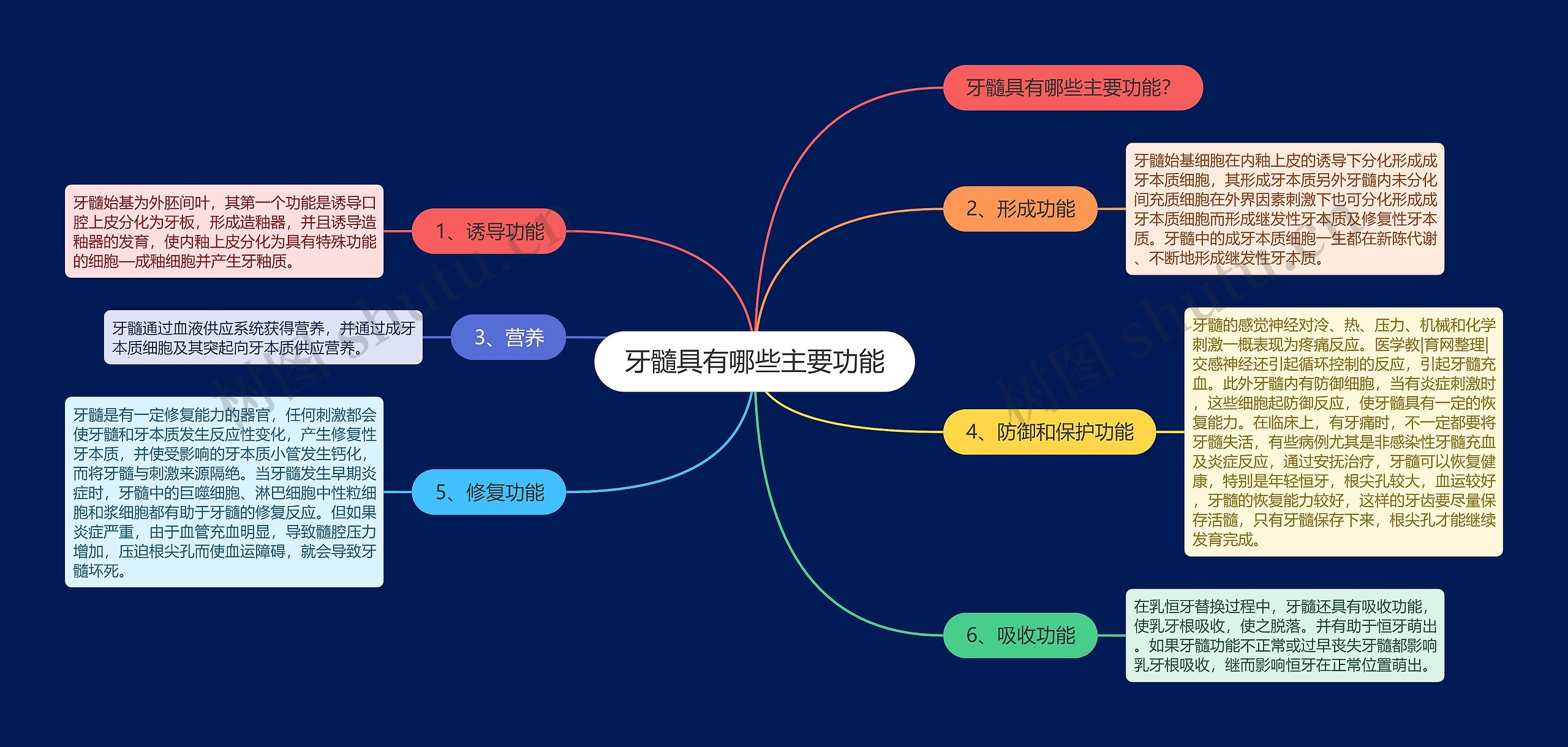 牙髓具有哪些主要功能