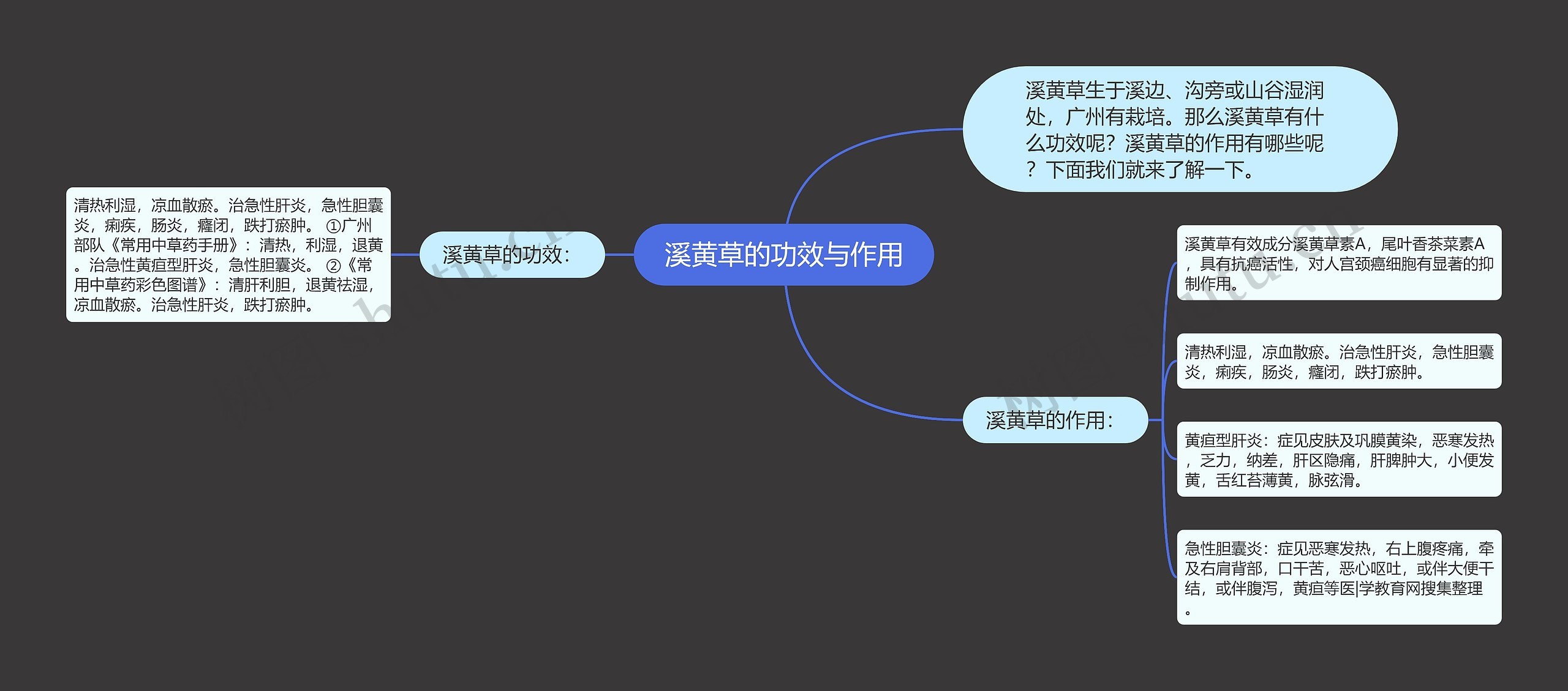 溪黄草的功效与作用