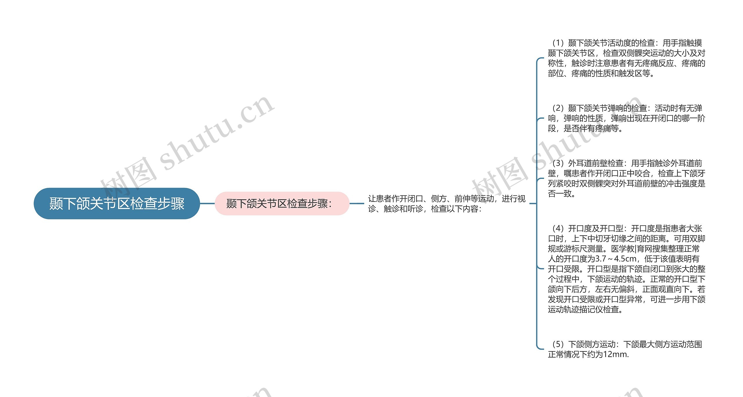 颞下颌关节区检查步骤思维导图