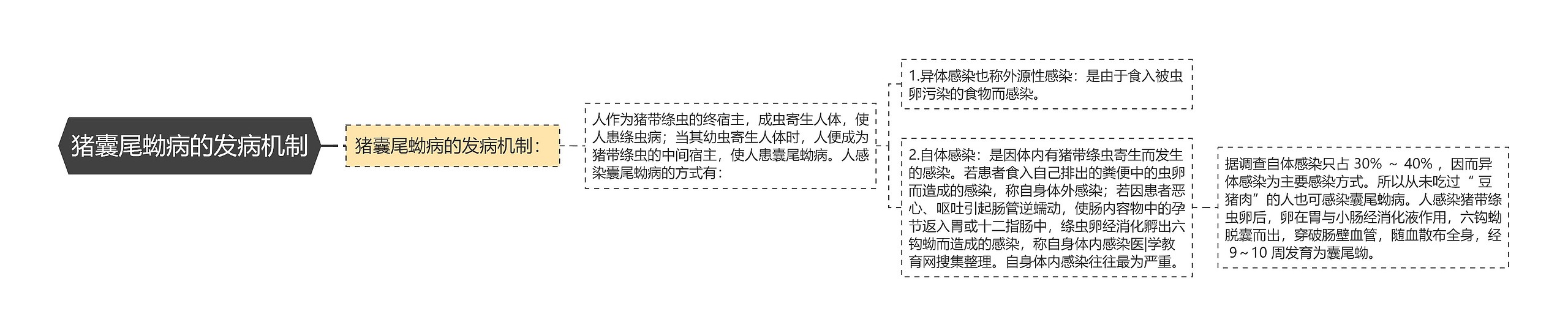 猪囊尾蚴病的发病机制思维导图