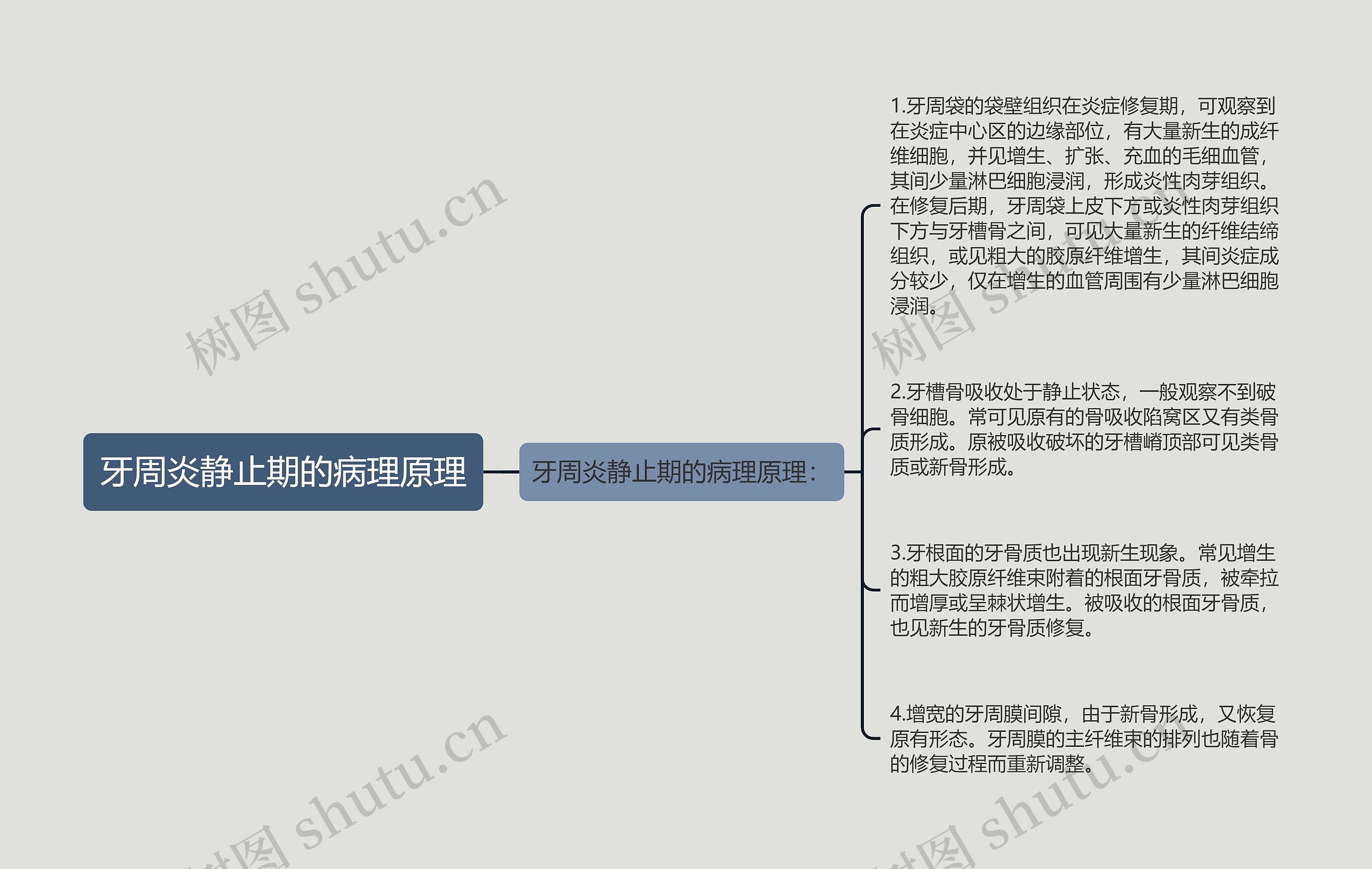 牙周炎静止期的病理原理思维导图