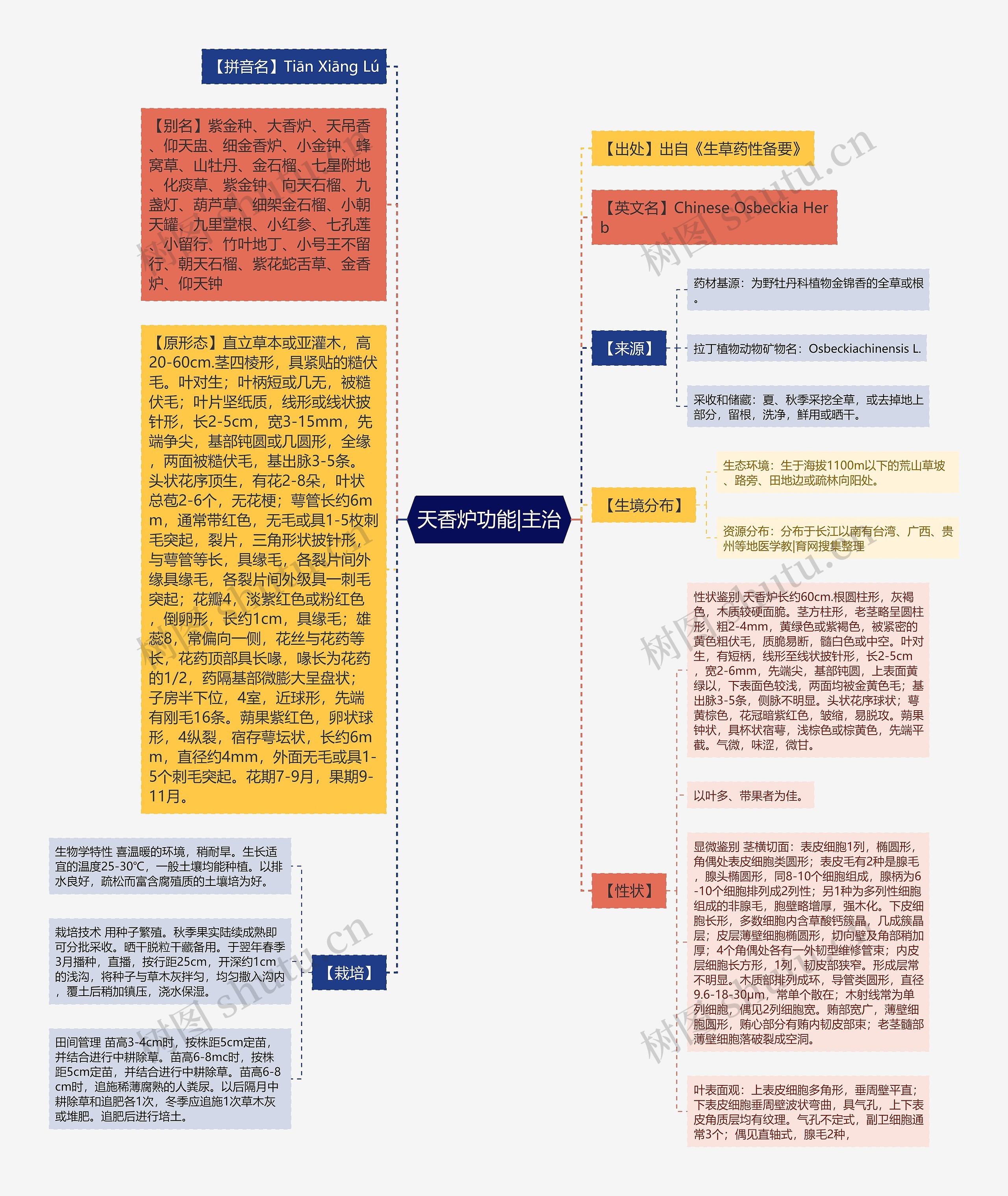 天香炉功能|主治思维导图