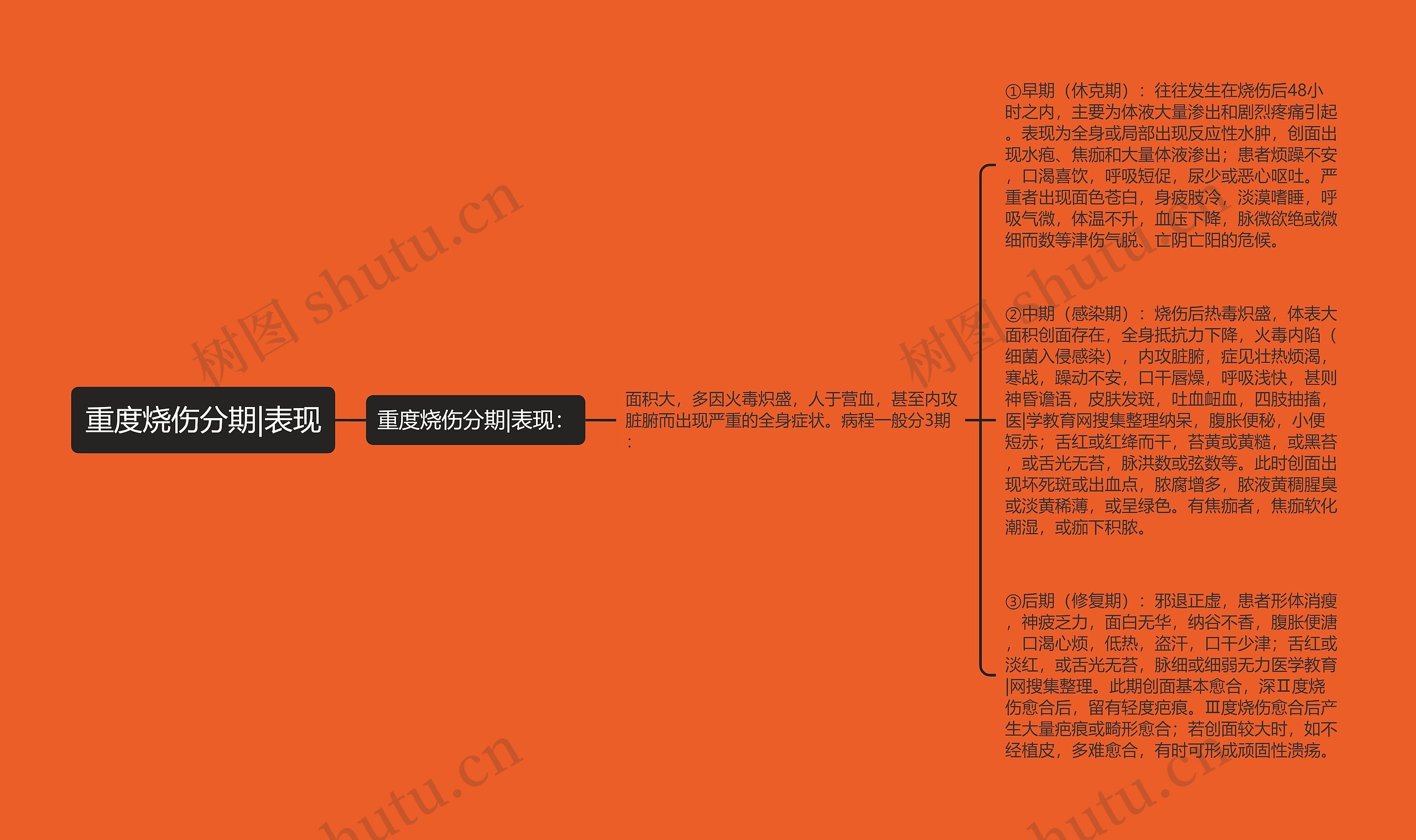 重度烧伤分期|表现思维导图