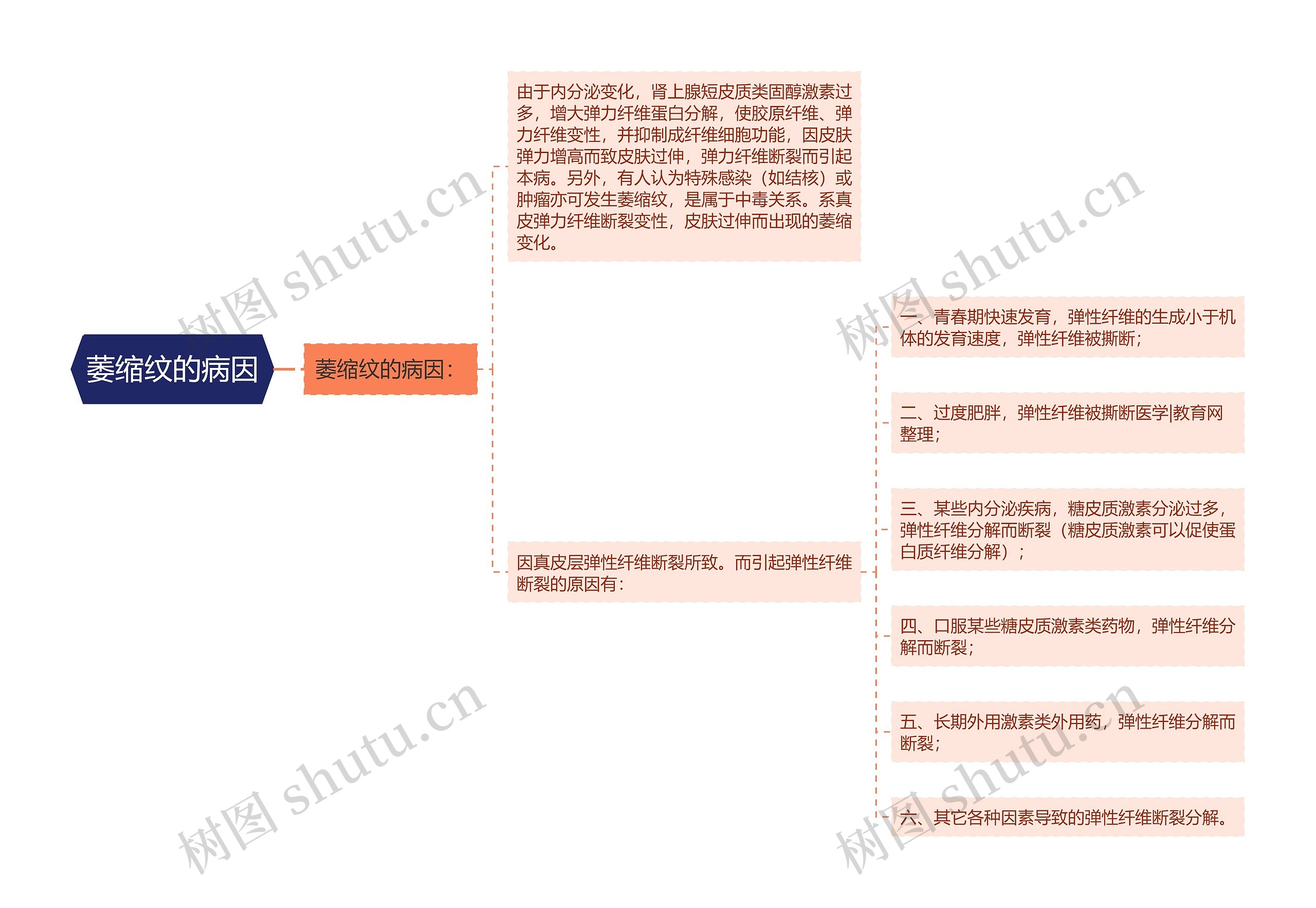 萎缩纹的病因思维导图