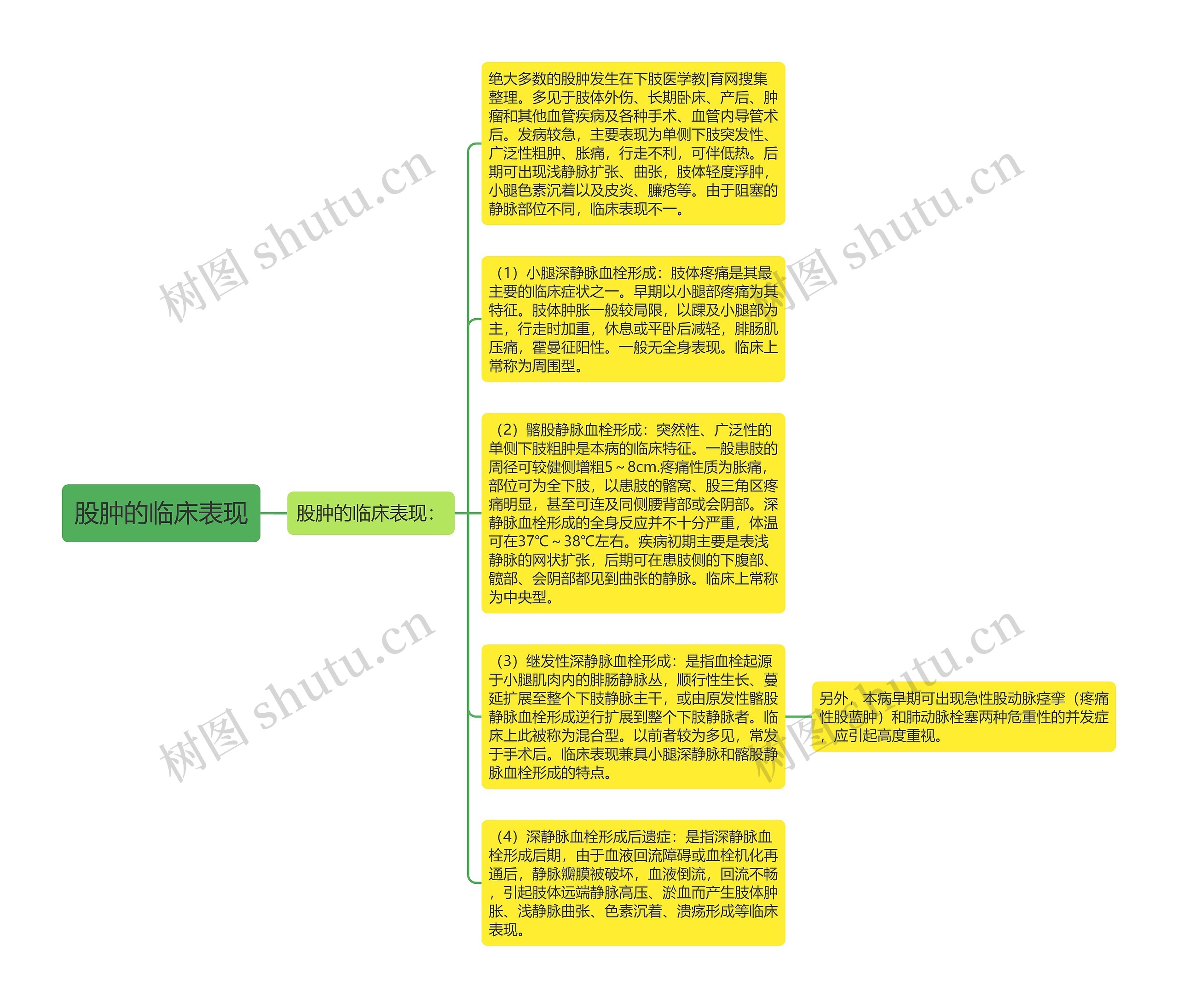 股肿的临床表现思维导图