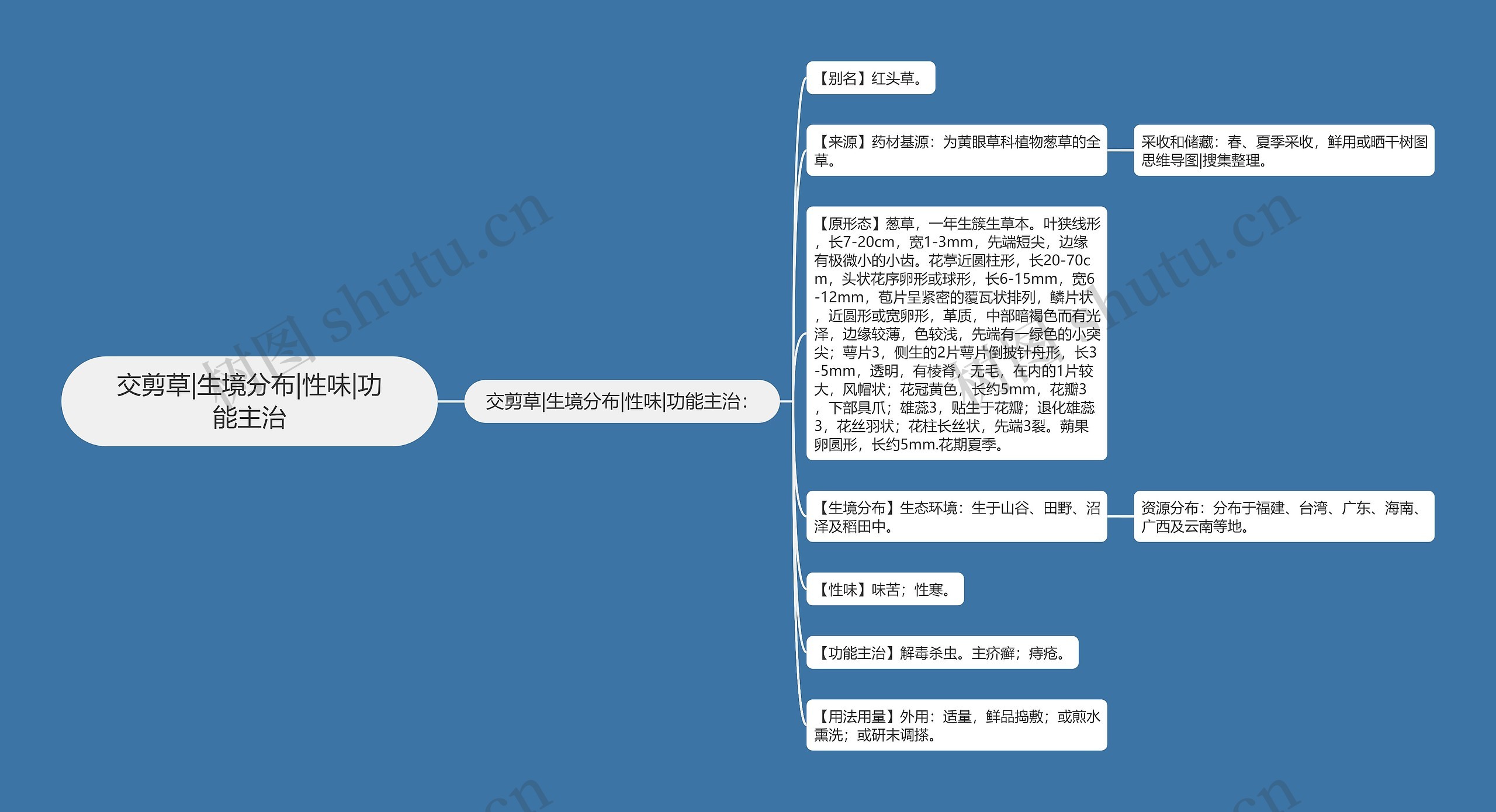 交剪草|生境分布|性味|功能主治思维导图